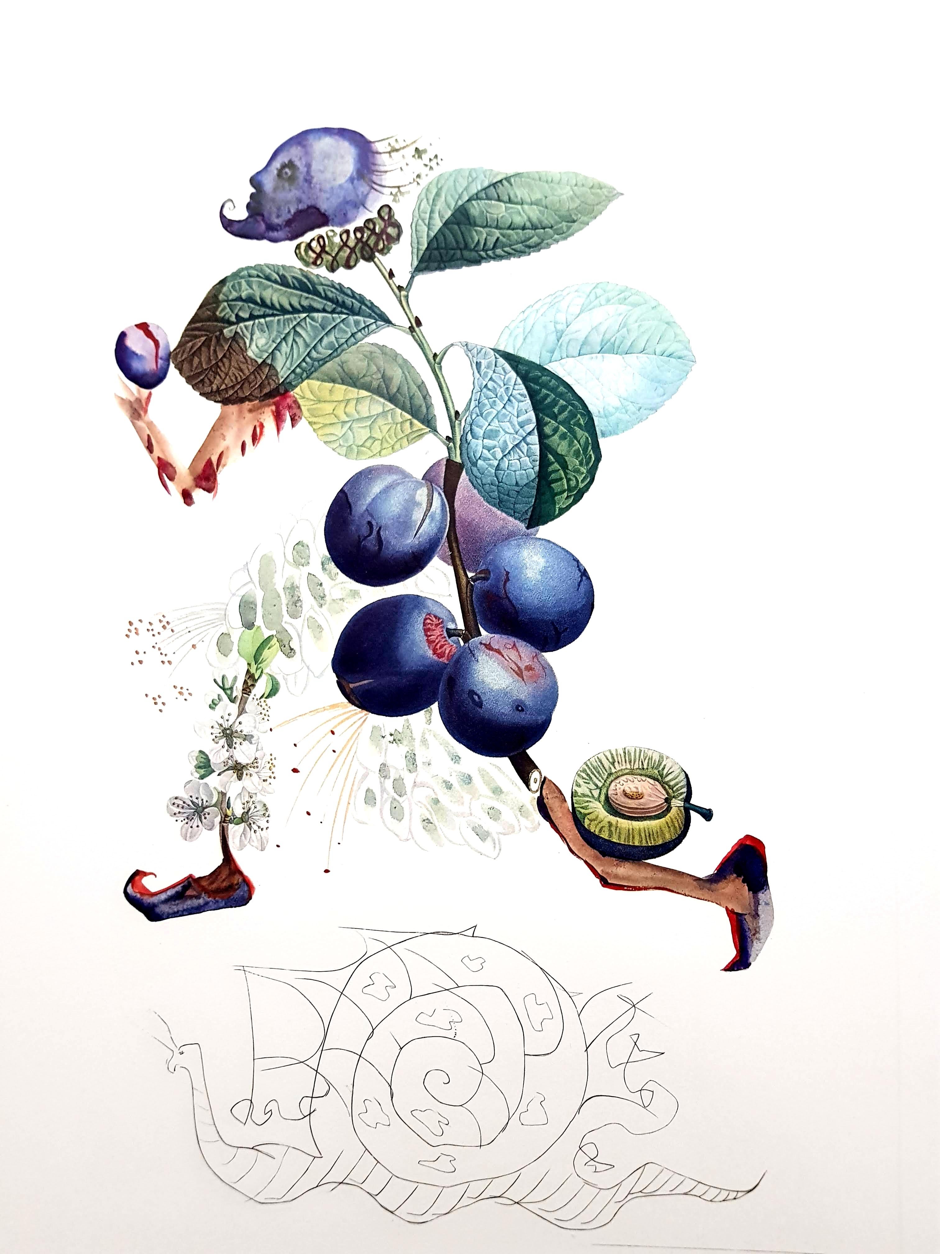 litografia dali