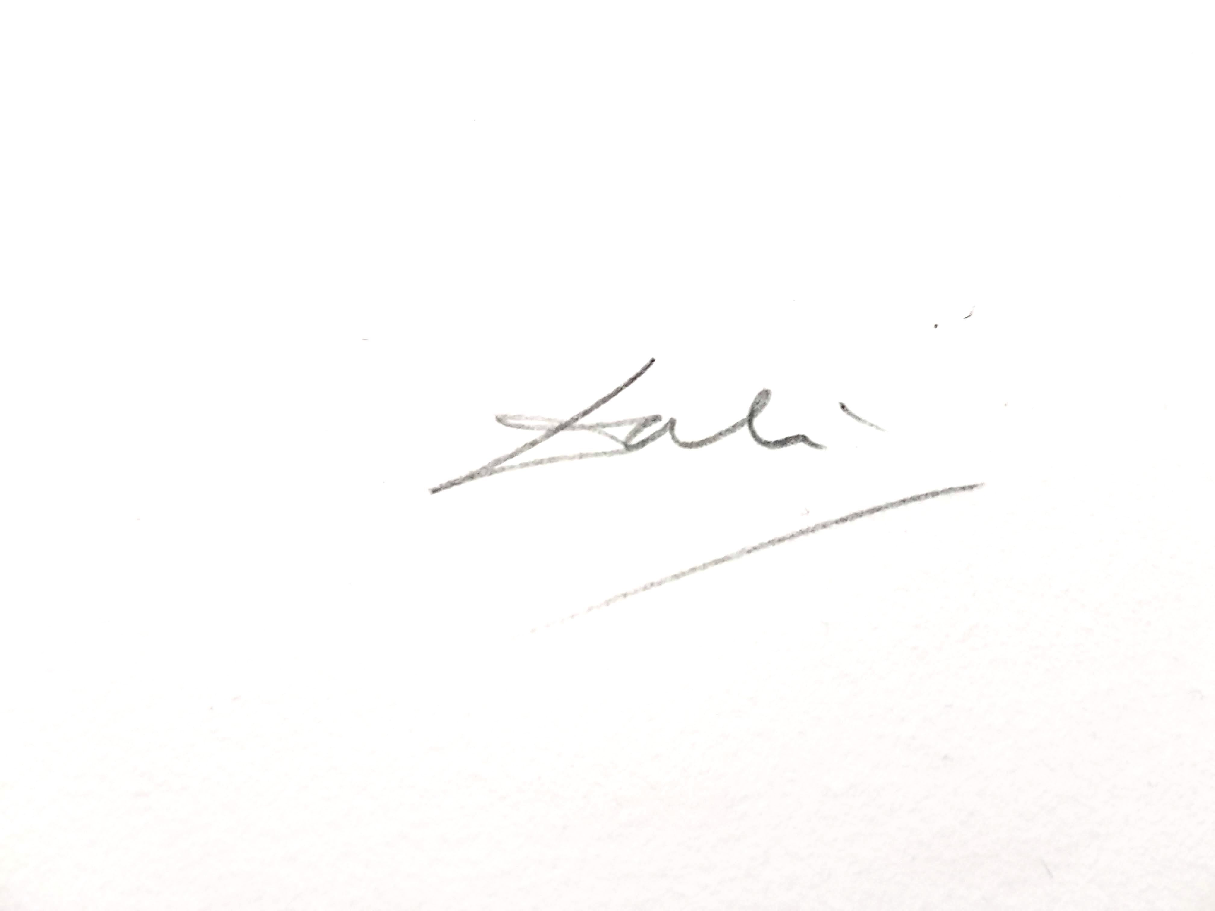 Salvador Dali – Pflaumenfarbene – Original handsignierte Lithographie
1969
Abmessungen: S. 57 x 37 cm
Blatt: 75 x 56 cm 
Handsigniert, EA (Epreuve d'Artiste)
Ausgezeichneter Condit
Referenz: Feld 69-11 (Seite 54)
