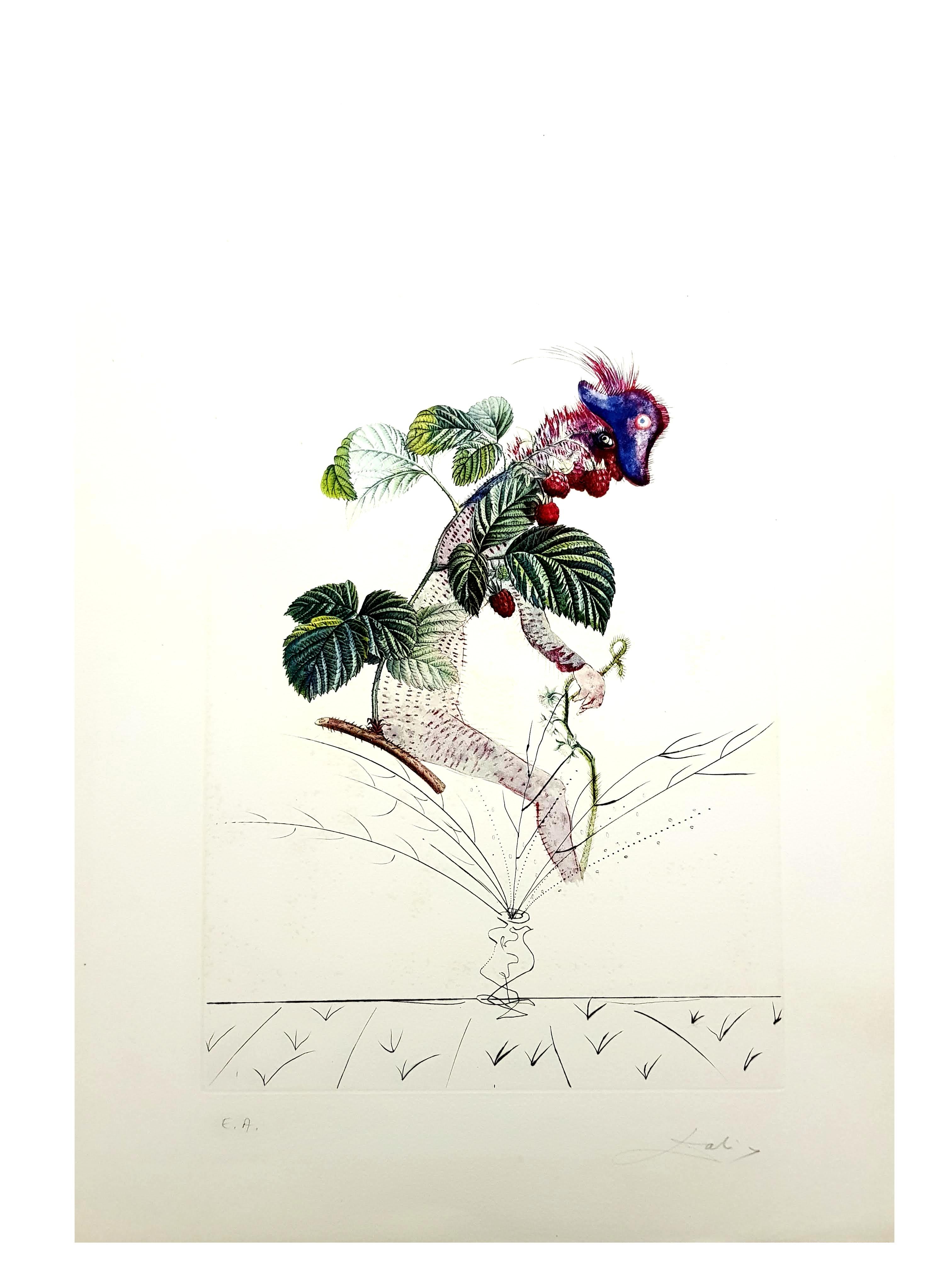 Salvador Dali -  Raspberry - Original Hand-Signed Lithograph - Print by Salvador Dalí