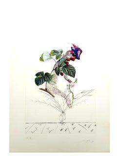 Salvador Dali -  Raspberry - Original Hand-Signed Lithograph