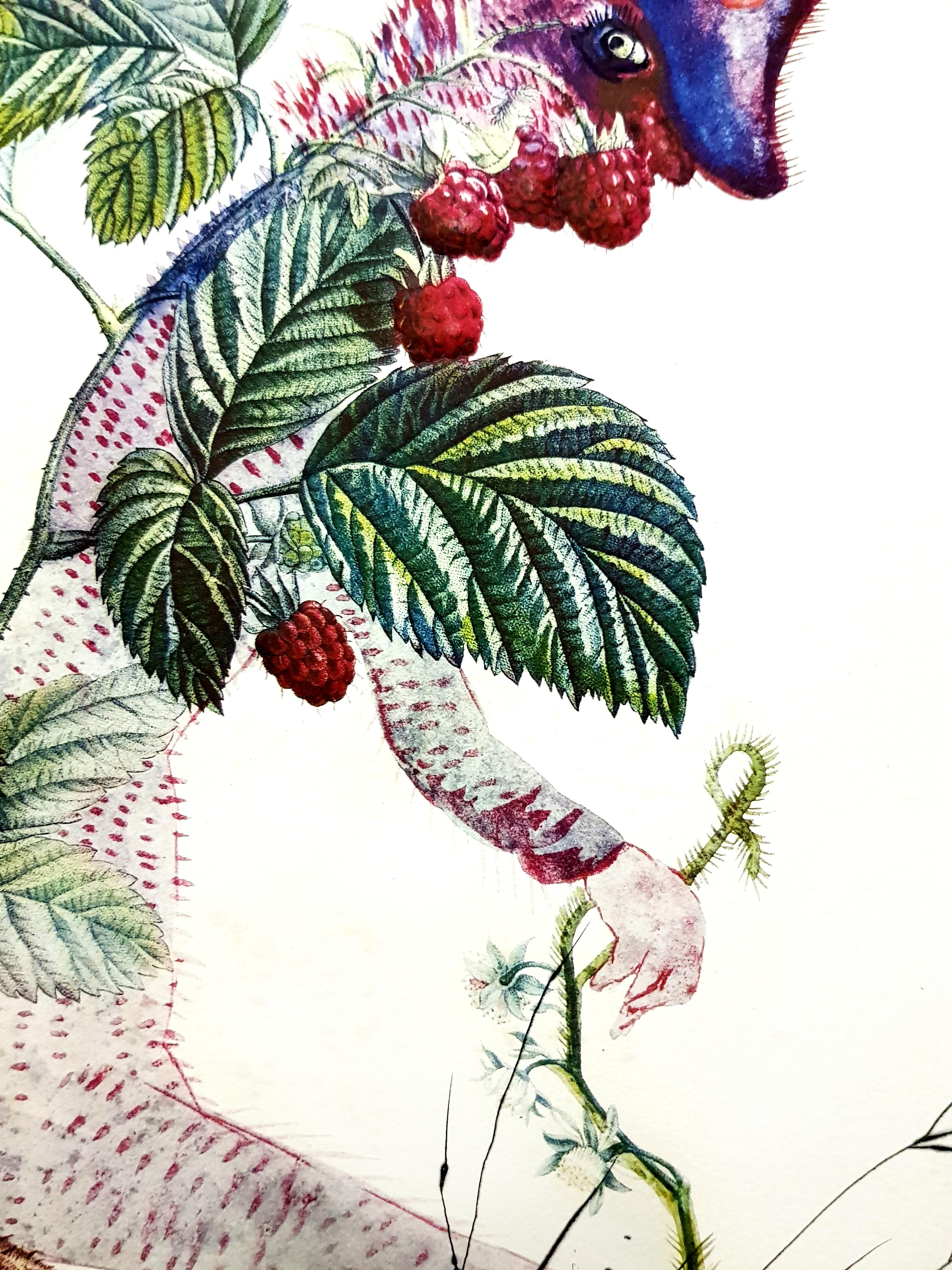 Salvador Dali -  Raspberry - Originale handsignierte Lithographie im Angebot 3