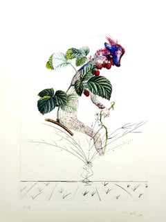 Salvador Dali -  Raspberry - Original Hand-Signed Lithograph