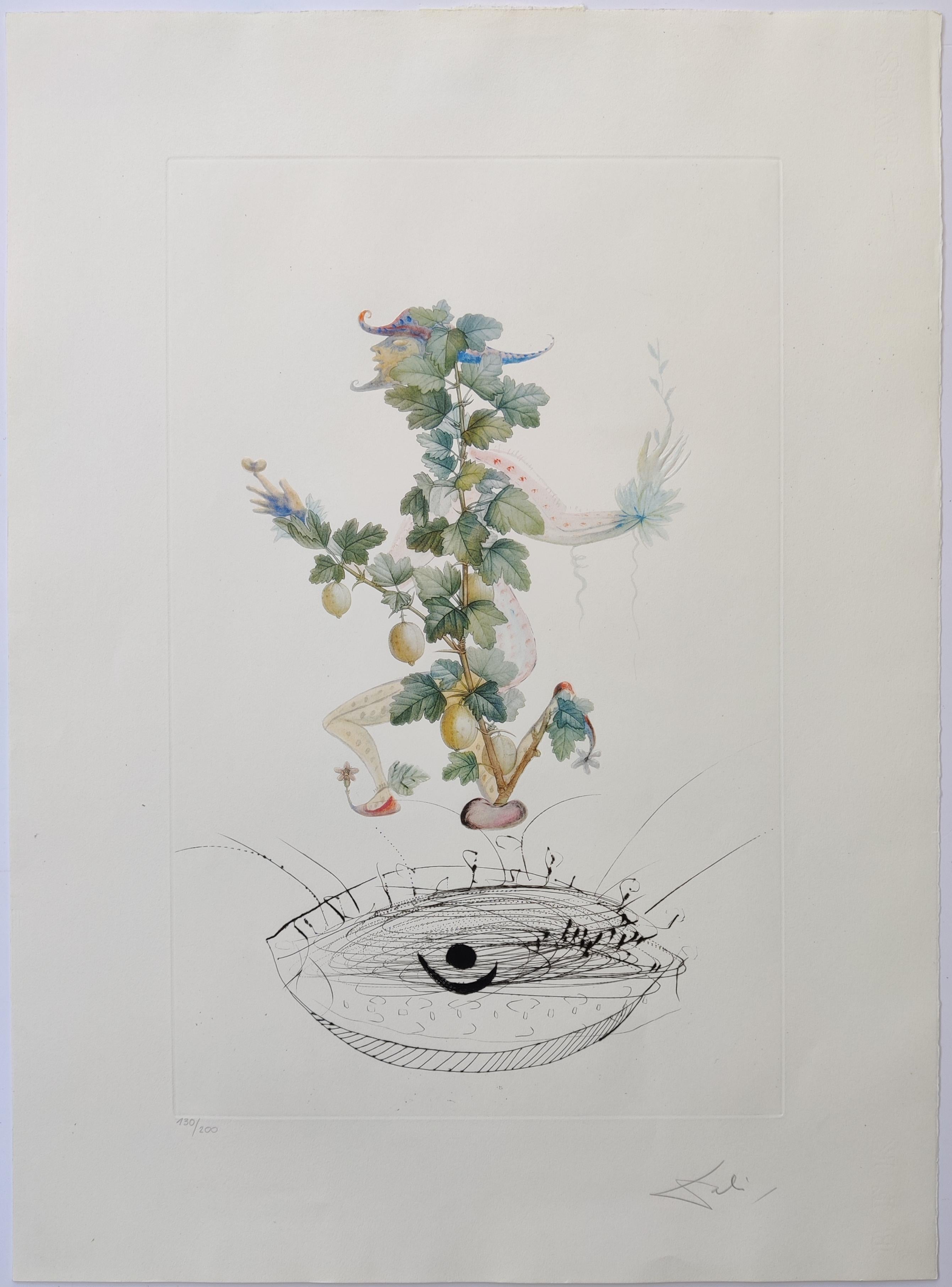 Salvador Dalí 
Révérence du groseillier, extrait de Flor Dali/Les fruits, 1969
Gravure en couleurs sur papier Rives BFK
Taille de la feuille 75 x 54 cm
Signé à la main en bas à droite 
Edition 130 / 200  en bas à gauche
Publié par Werbungs- und