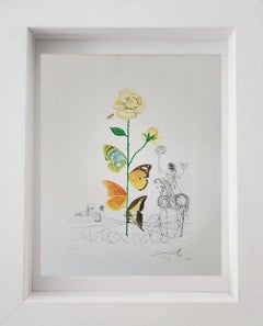 Used SALVADOR DALÍ "ROSA PAPILIO FROM FLORDALI - FLORA DALINAE 1968"