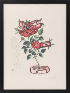 Salvador Dali "Rose (Drawers)" Etching, 1972