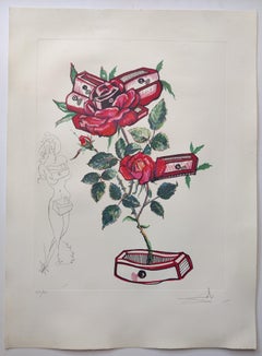 Vintage Salvador Dalí­ -- Rose + Drawers from Surrealist Flowers, Florals 1972
