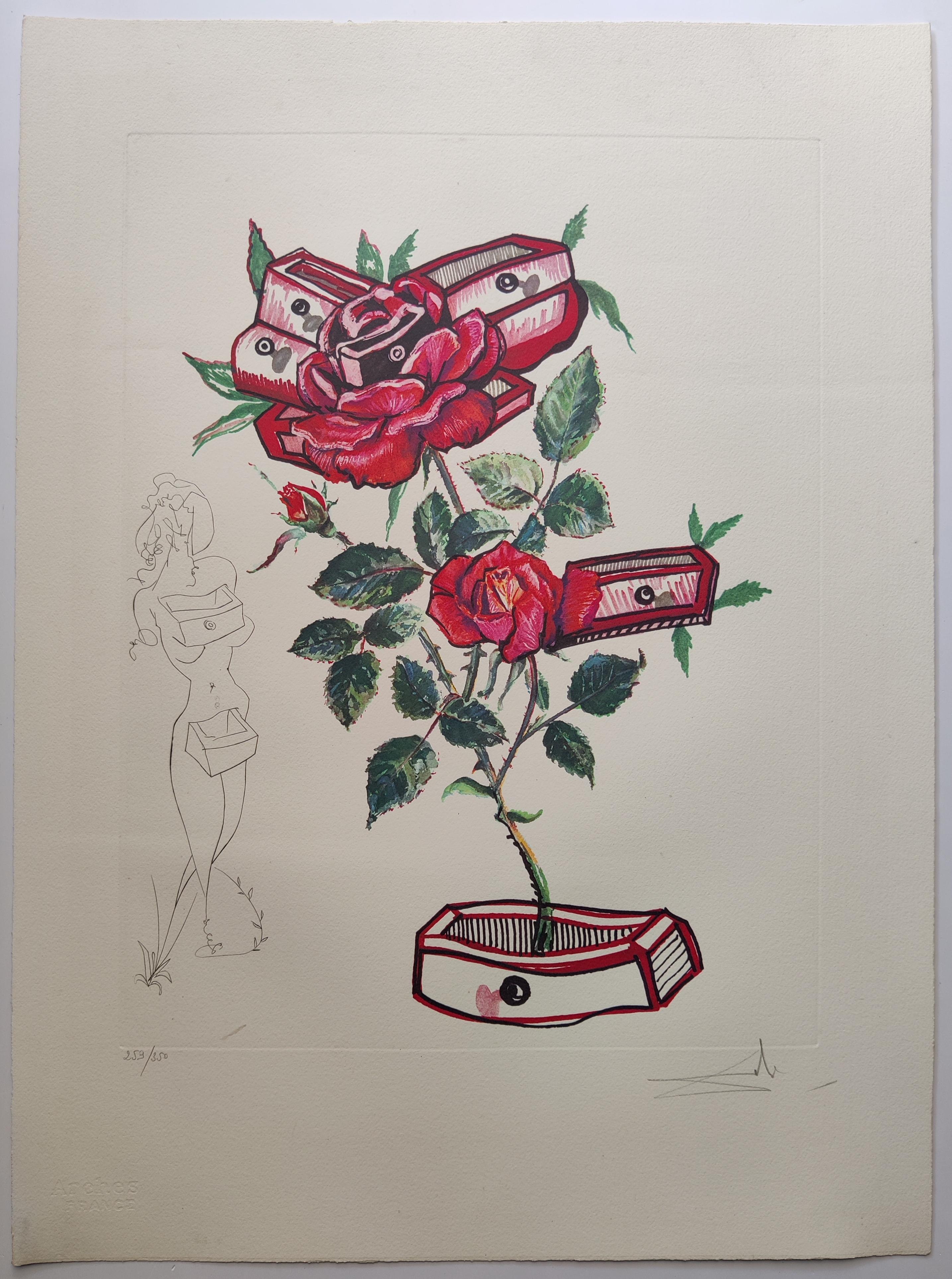 Salvador Dalí­ 
Rose + Drawers from Surrealist Flowers, Florals 1972
Hand-signed in pencil
Edition 259/350
Image size: 55 x 42 cm
Sheet size: 75 x 55  cm
Published by Editions Graphiques Internationales, Paris, on heavy Arches paper, with full