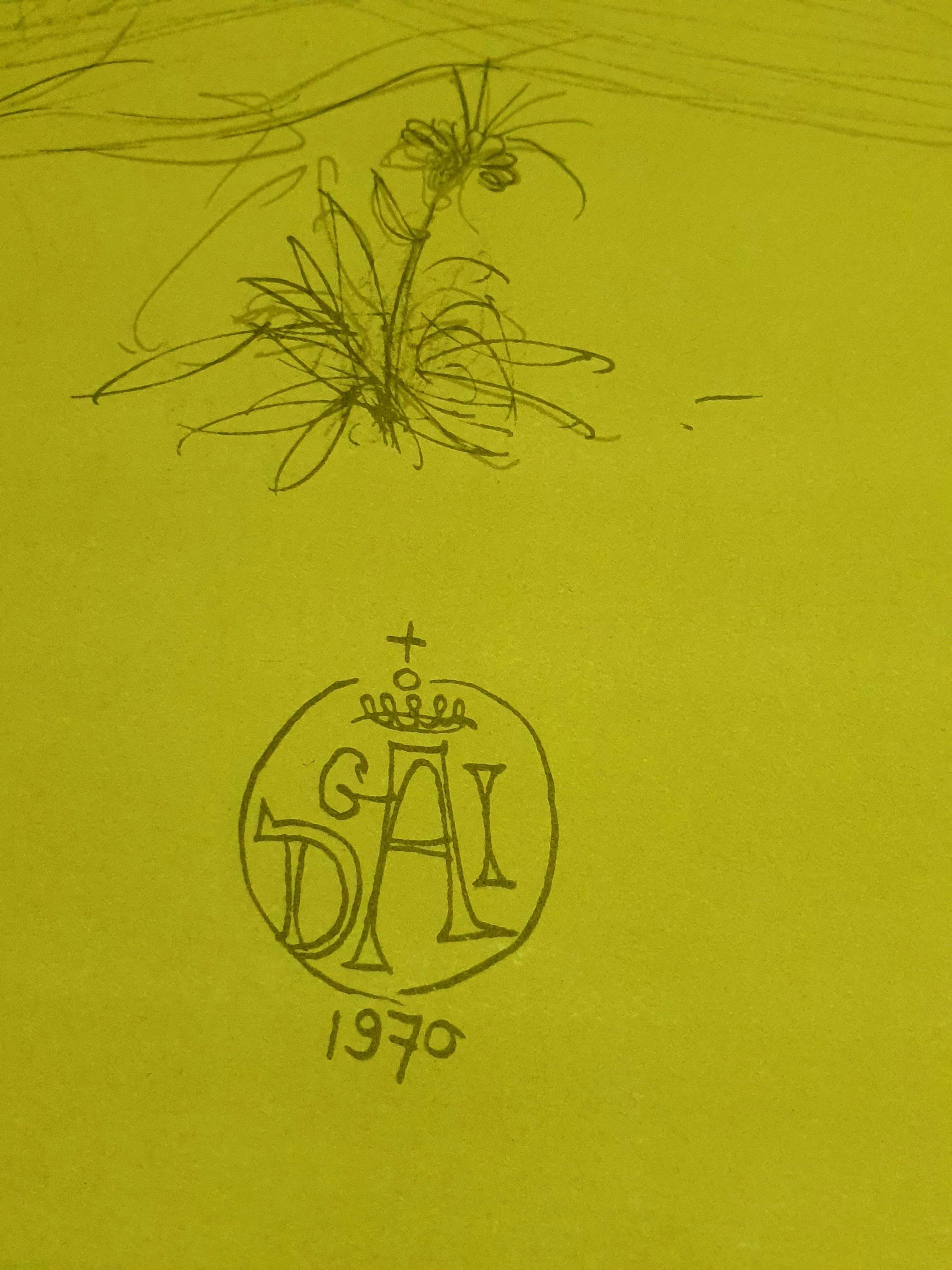 Salvador Dali – Serenade – Lithographie (Braun), Nude Print, von Salvador Dalí