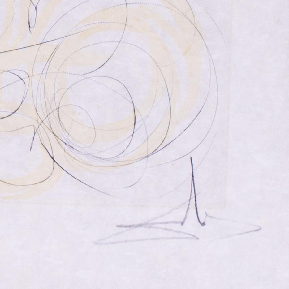 Salvador Dali, signierte und nummerierte Kaltnadelradierungsradierung, Les Coche et la Mouch, 1974 im Angebot 1