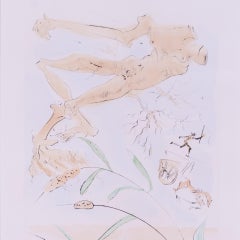 Salvador Dali, signed and numbered drypoint etching 'The oak and the reed', 1974