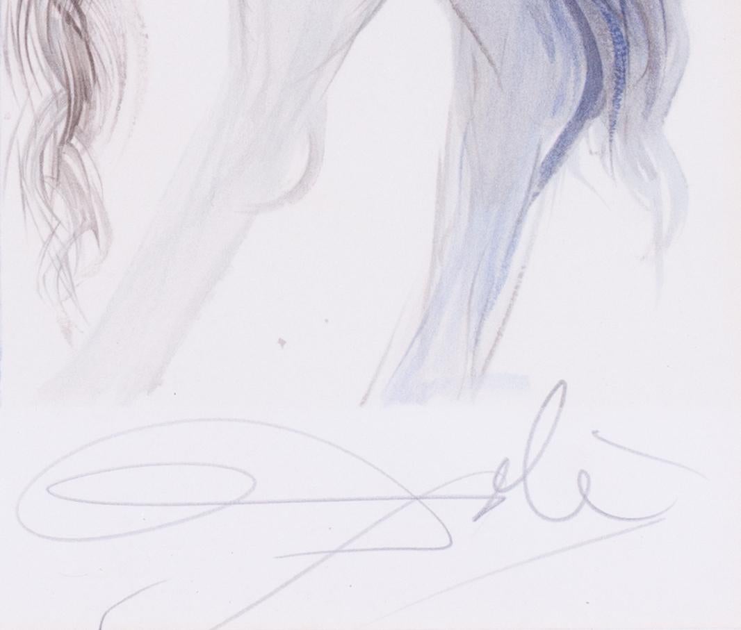 Salvador Dali signierte Farblithografie 