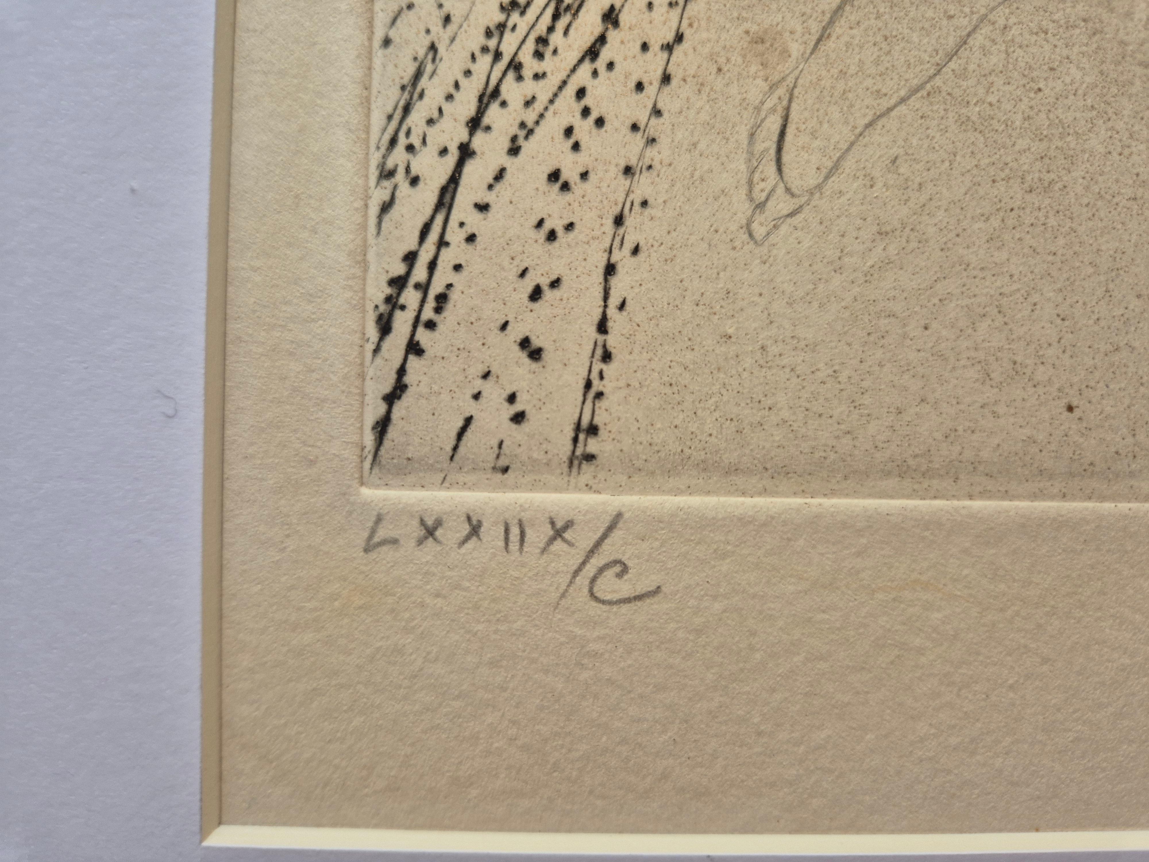 Salvador Dalí­ -- Sorcière au Balai For Sale 2