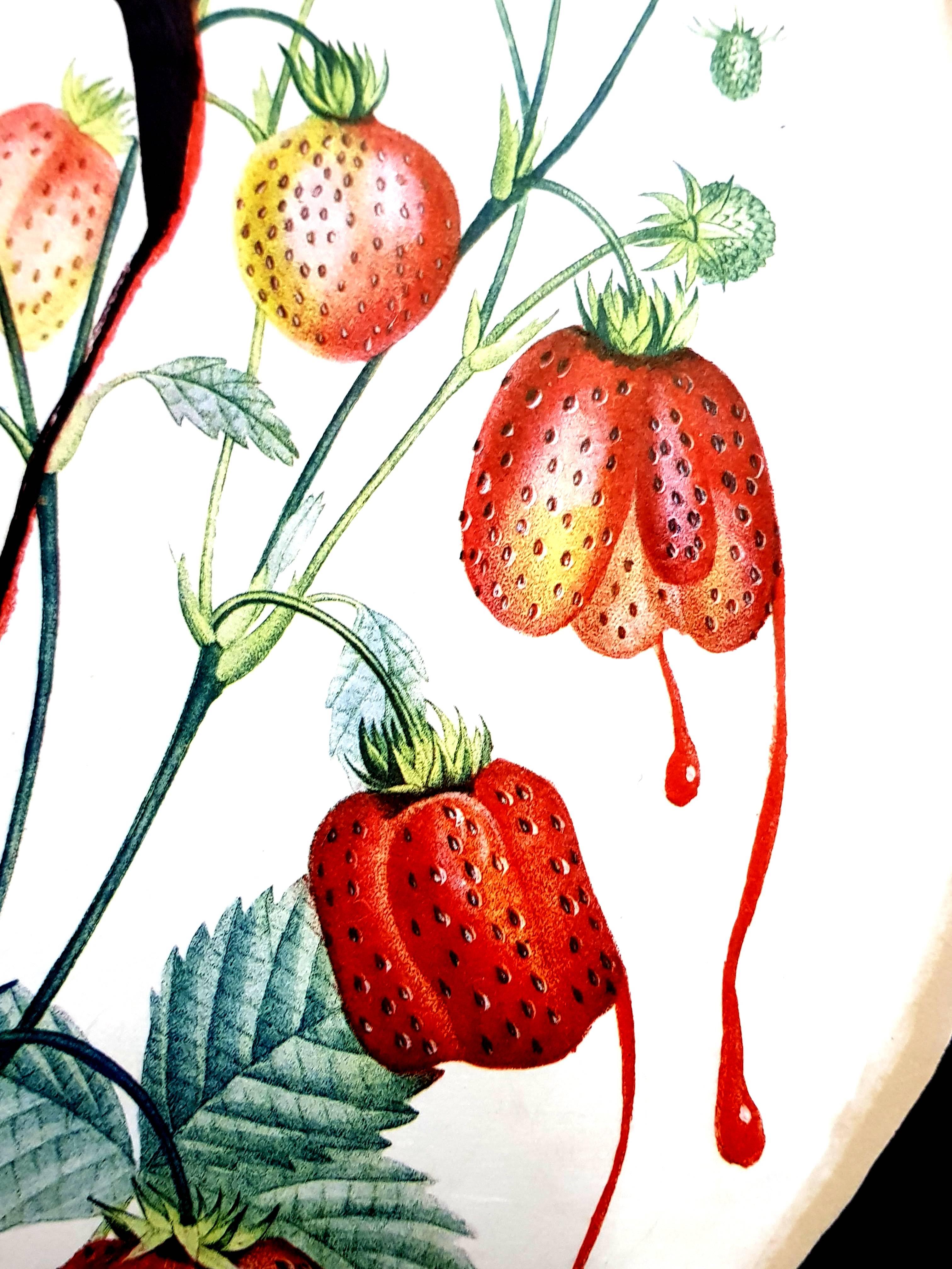 Salvador Dali - Cœur de fraise - Lithographie originale signée à la main en vente 1