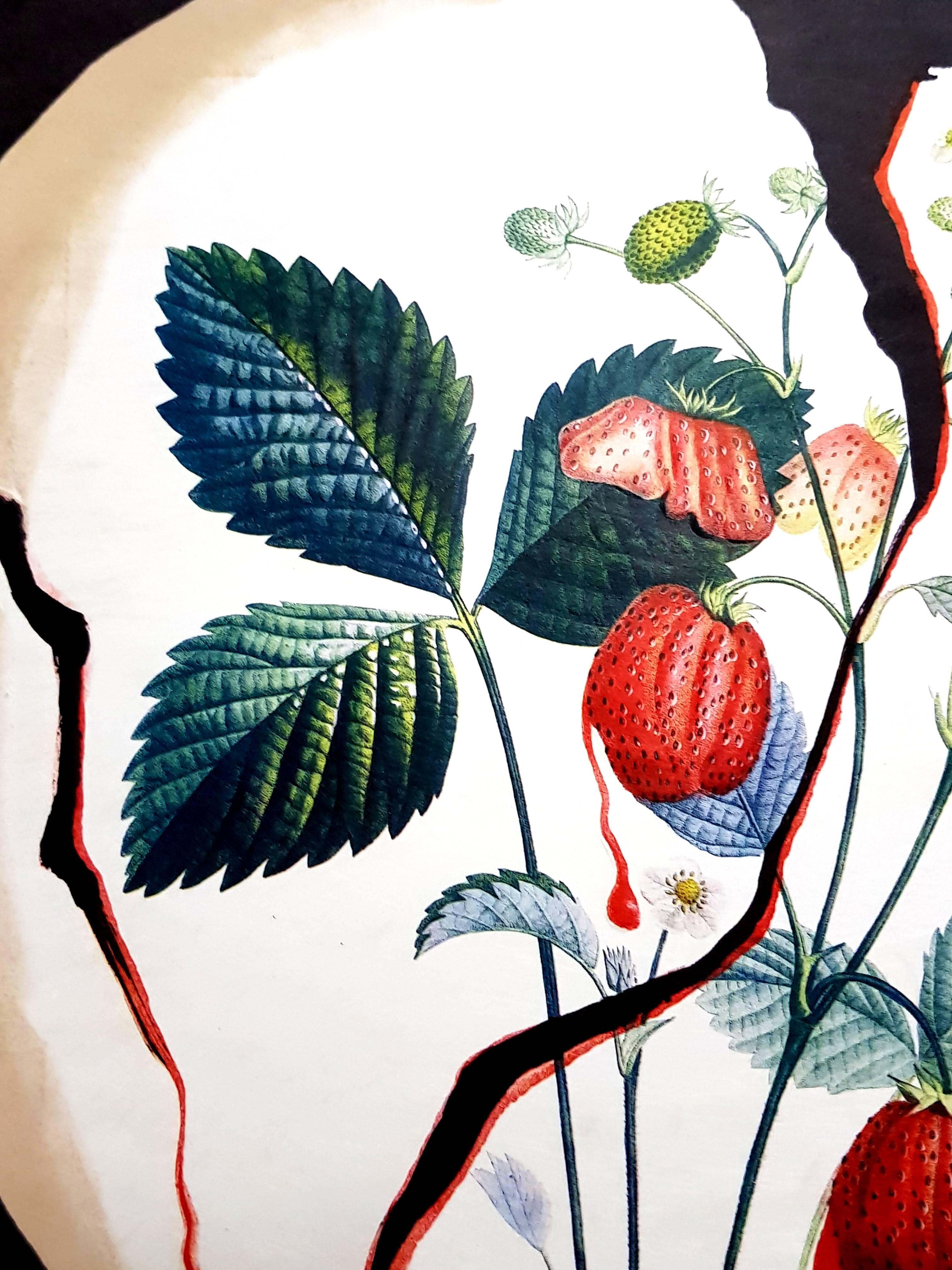 Salvador Dali - Cœur de fraise - Lithographie originale signée à la main en vente 3