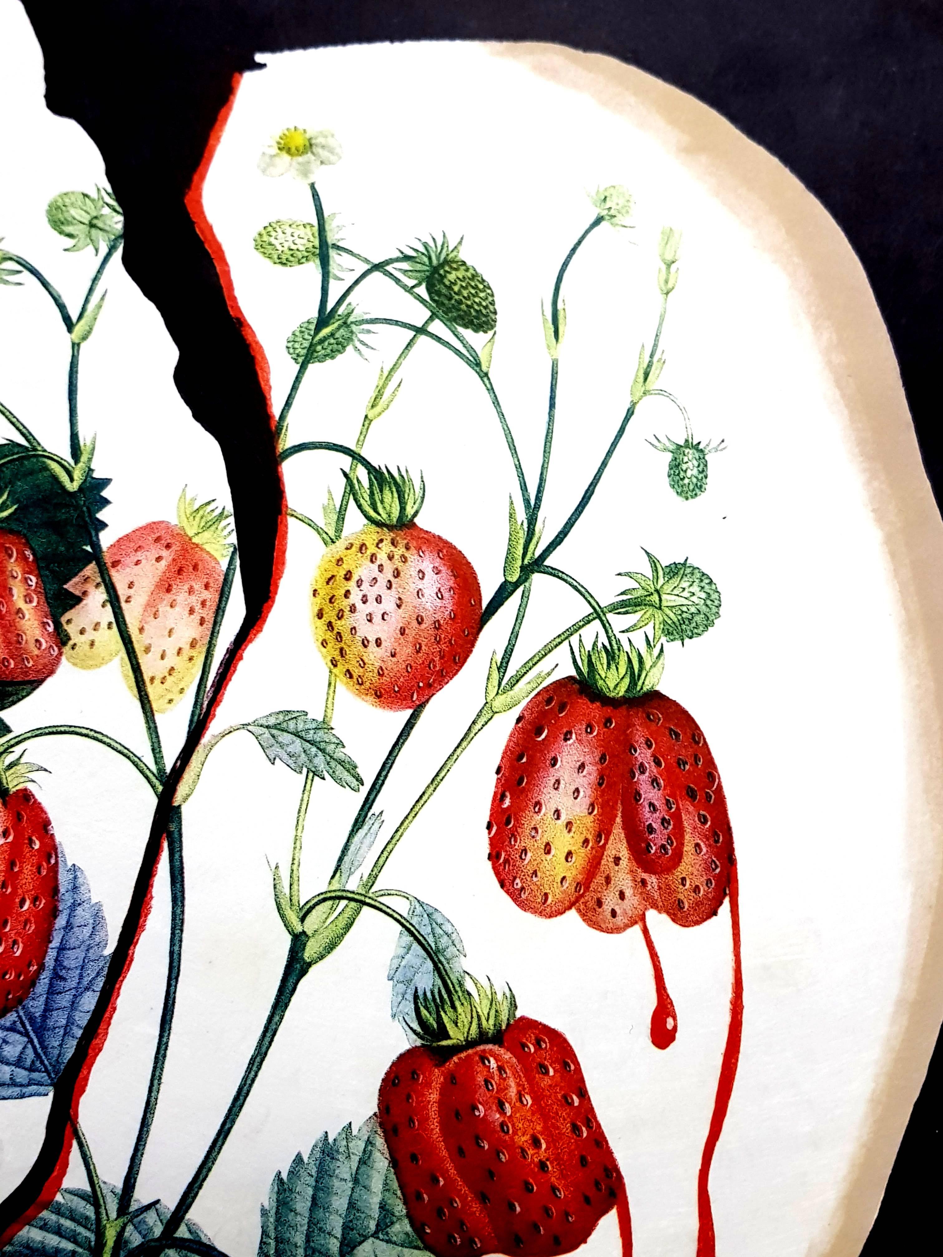 Salvador Dali - Strawberry Heart - Original Hand-Signed Lithograph For Sale 1