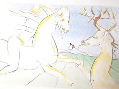 Salvador Dali - Le cavalier et le cerf - gravure signée à la main