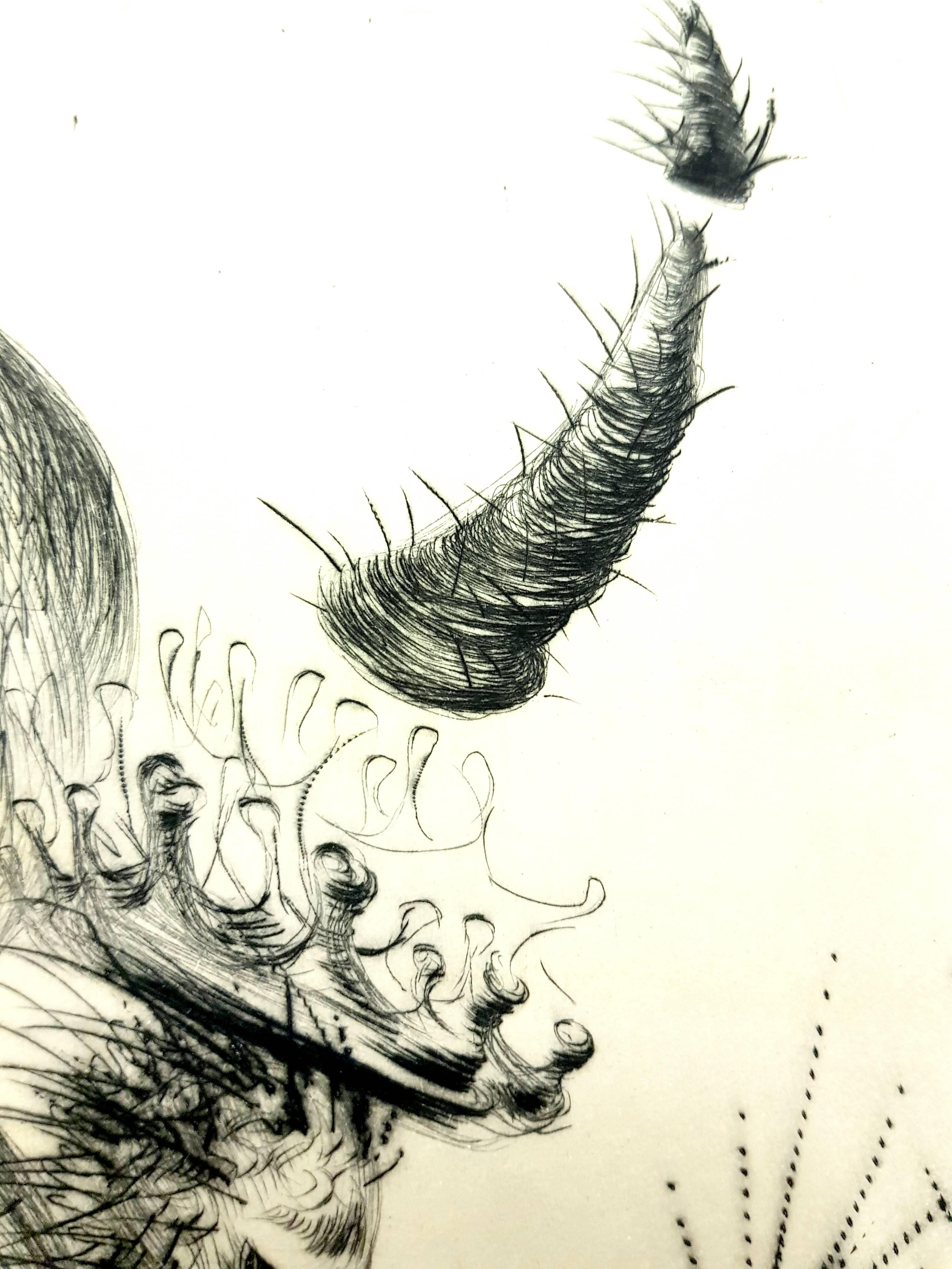 Salvador Dali - The Winged Demon - Original Stamp-Signed Etching For Sale 1