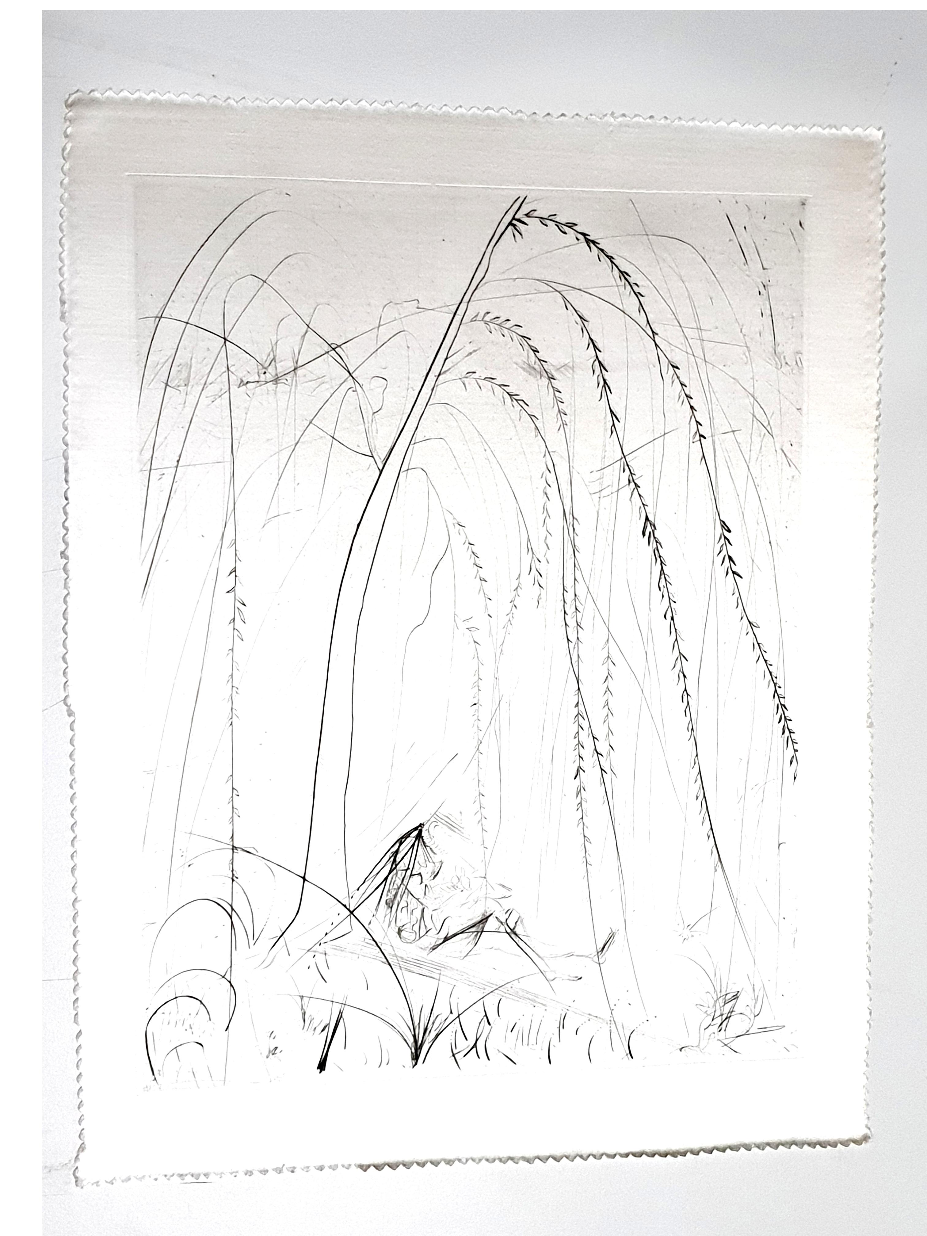 Salvador Dali - Weeping Willow - Original Etching on Silk - Print by Salvador Dalí