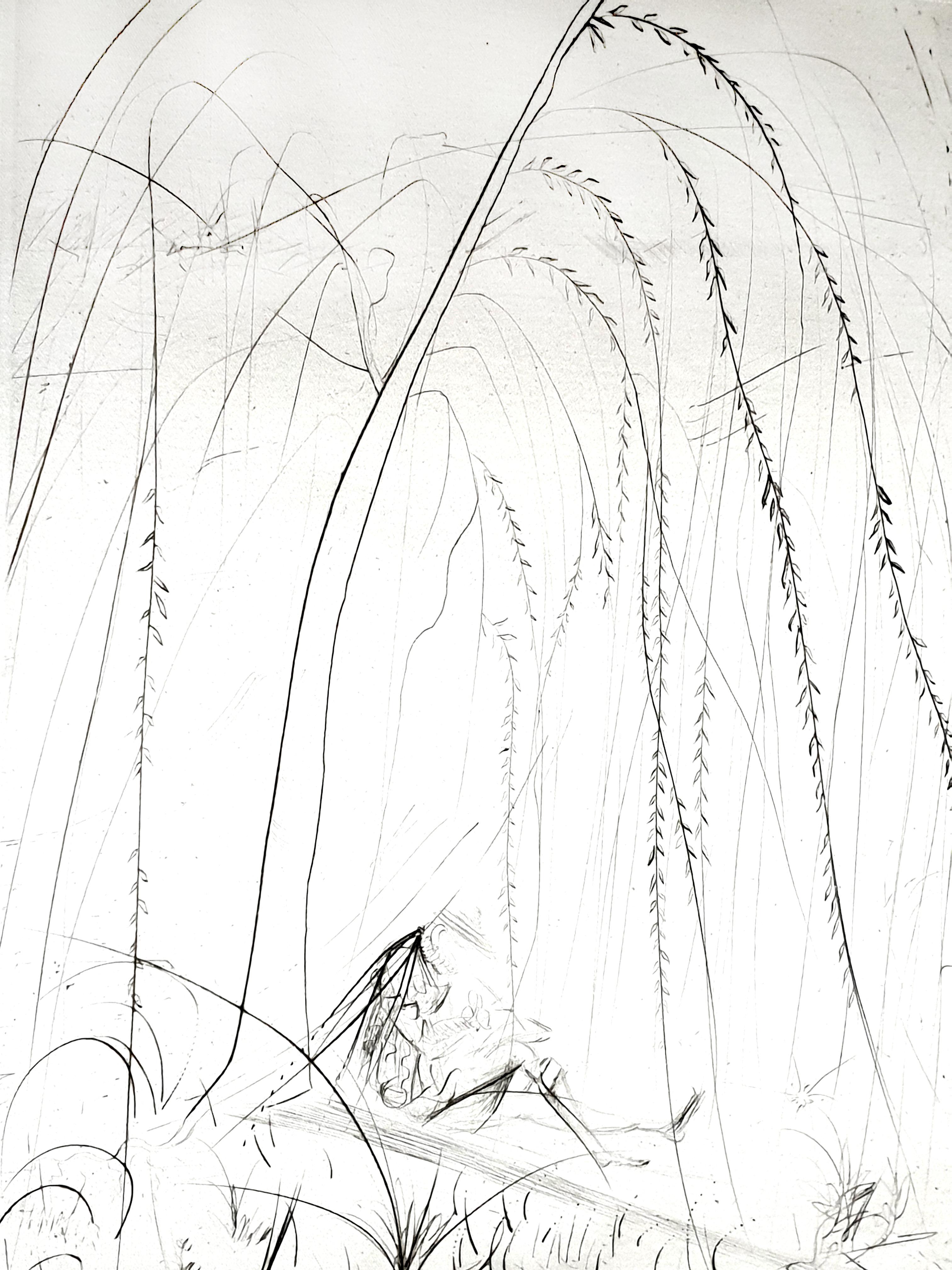 Salvador Dalí Figurative Print - Salvador Dali - Weeping Willow - Original Etching on Silk