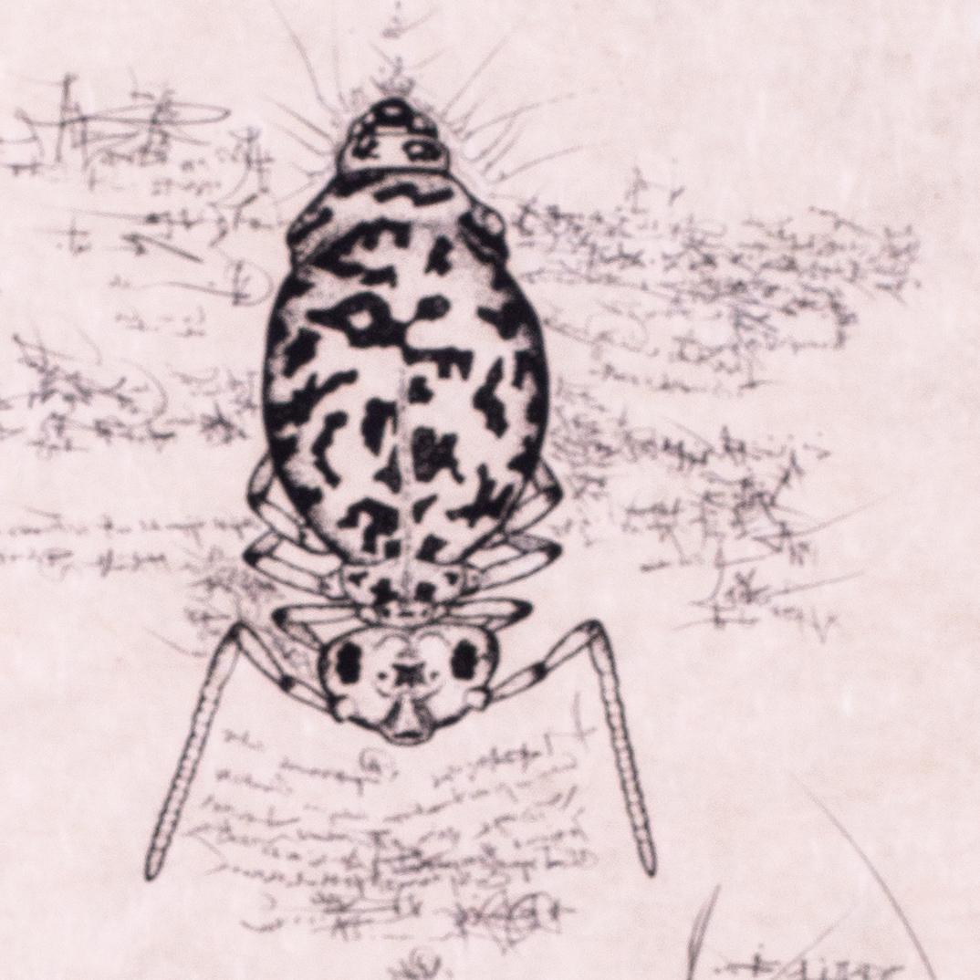 Punta seca y aguafuerte de Salvador Dalí sobre papel japonés, firmado y numerado en venta 4