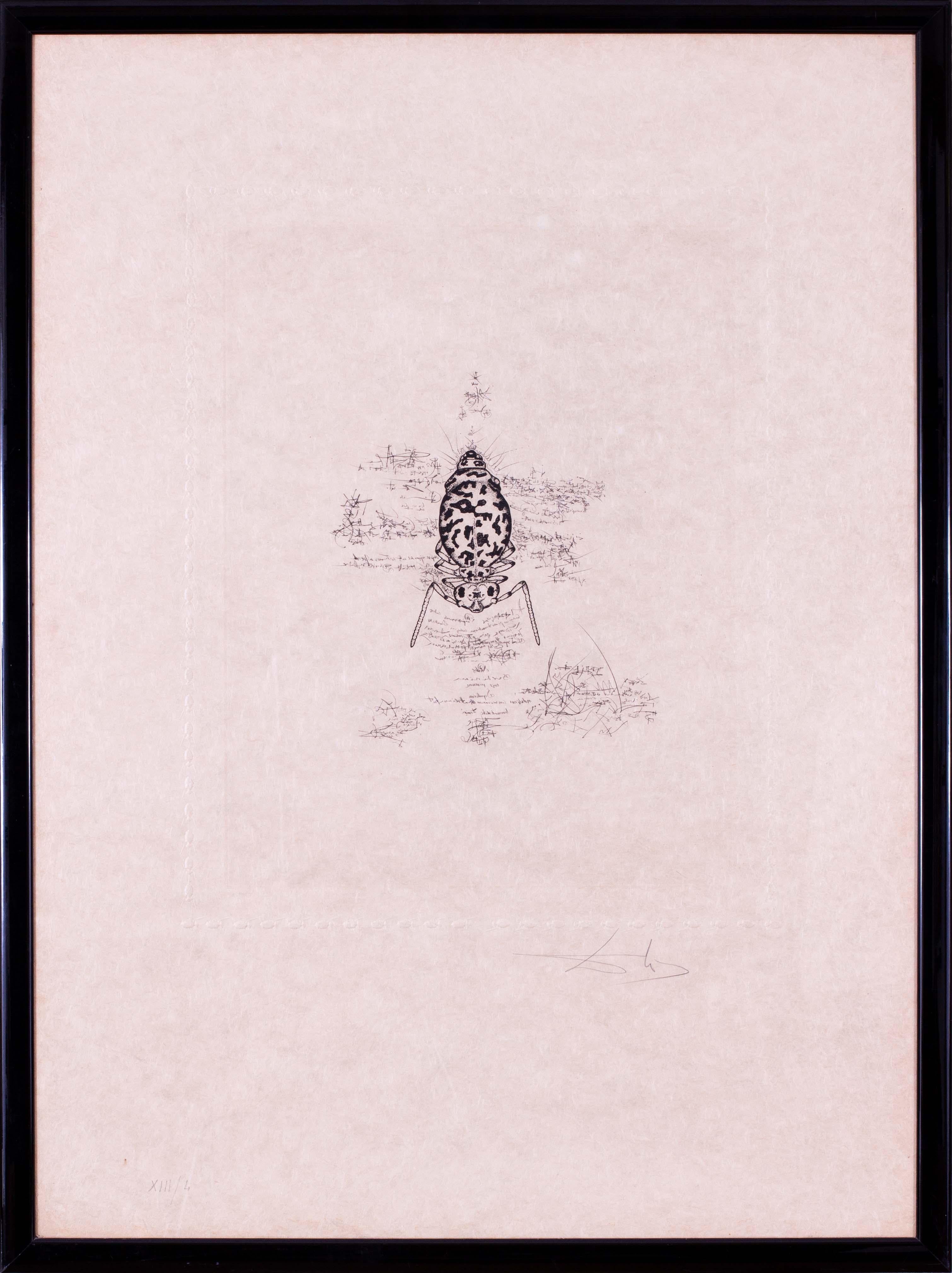 Salvador Dalí (español, 1904 - 1989)
Inmortalidad del Insecto Itinerante, 1973
Firmado y numerado "XIII / L" (abajo a la izquierda) y "Dali" (abajo a la derecha)
Punta seca con aguafuerte y heliograbado sobre papel Japón gofrado 
De la carpeta Dix