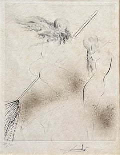 Sorcière au balai - A Witch on a Broom