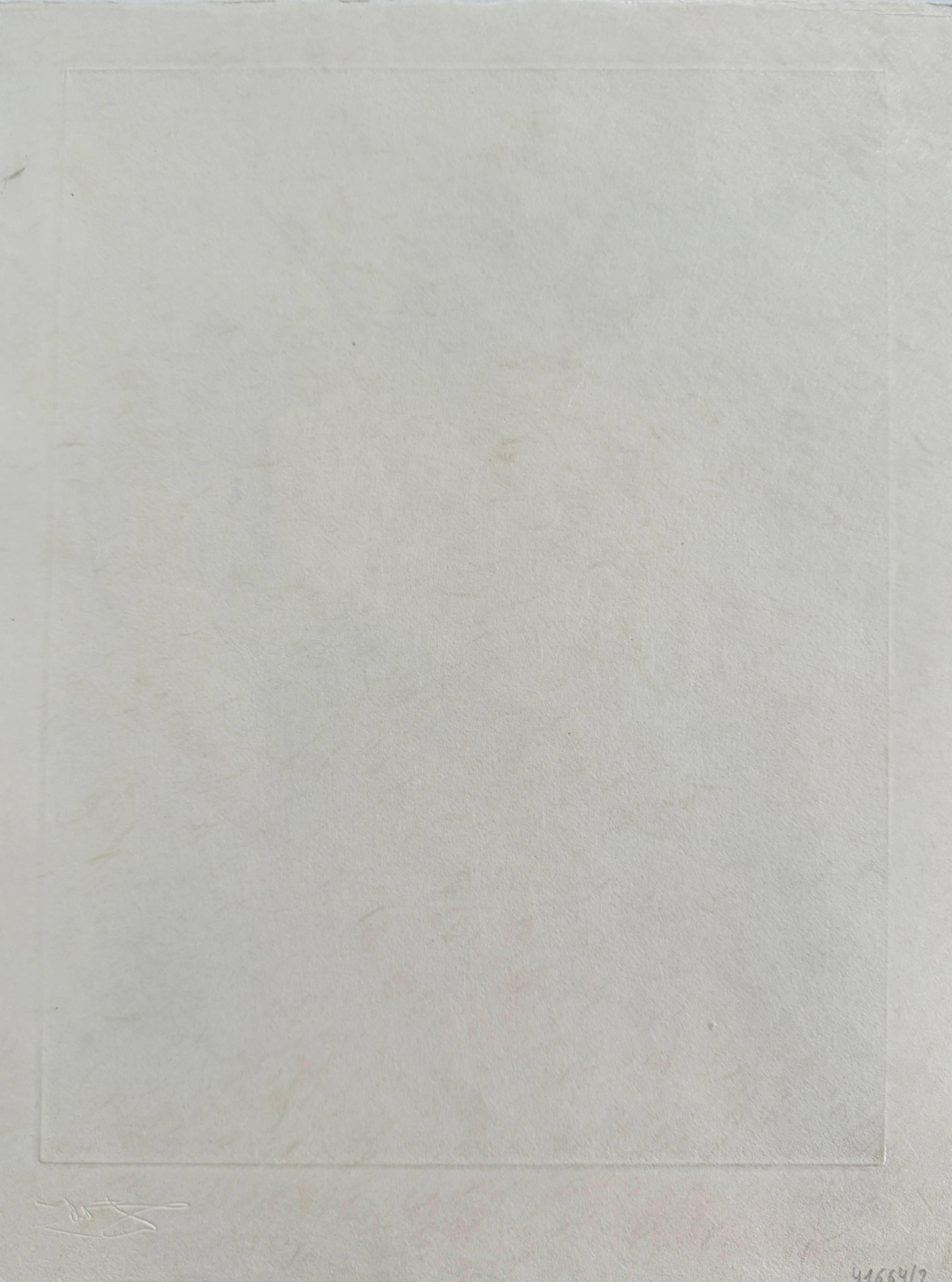 Sorcière au Balai (Witch on Broom) - Surrealist Print by Salvador Dalí