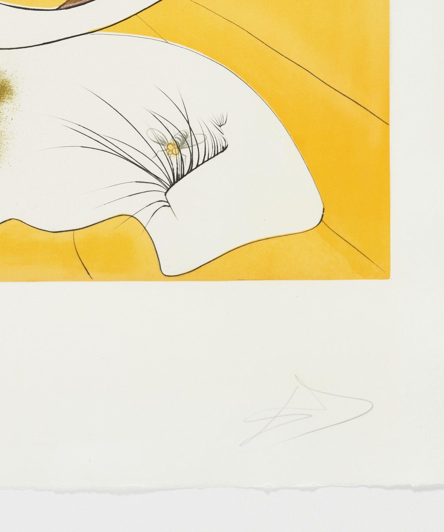 Hand signierter Original-Kunstdruck des spanischen Künstlers in limitierter Auflage, Cromolithograph n4 (Surrealismus), Print, von Salvador Dalí