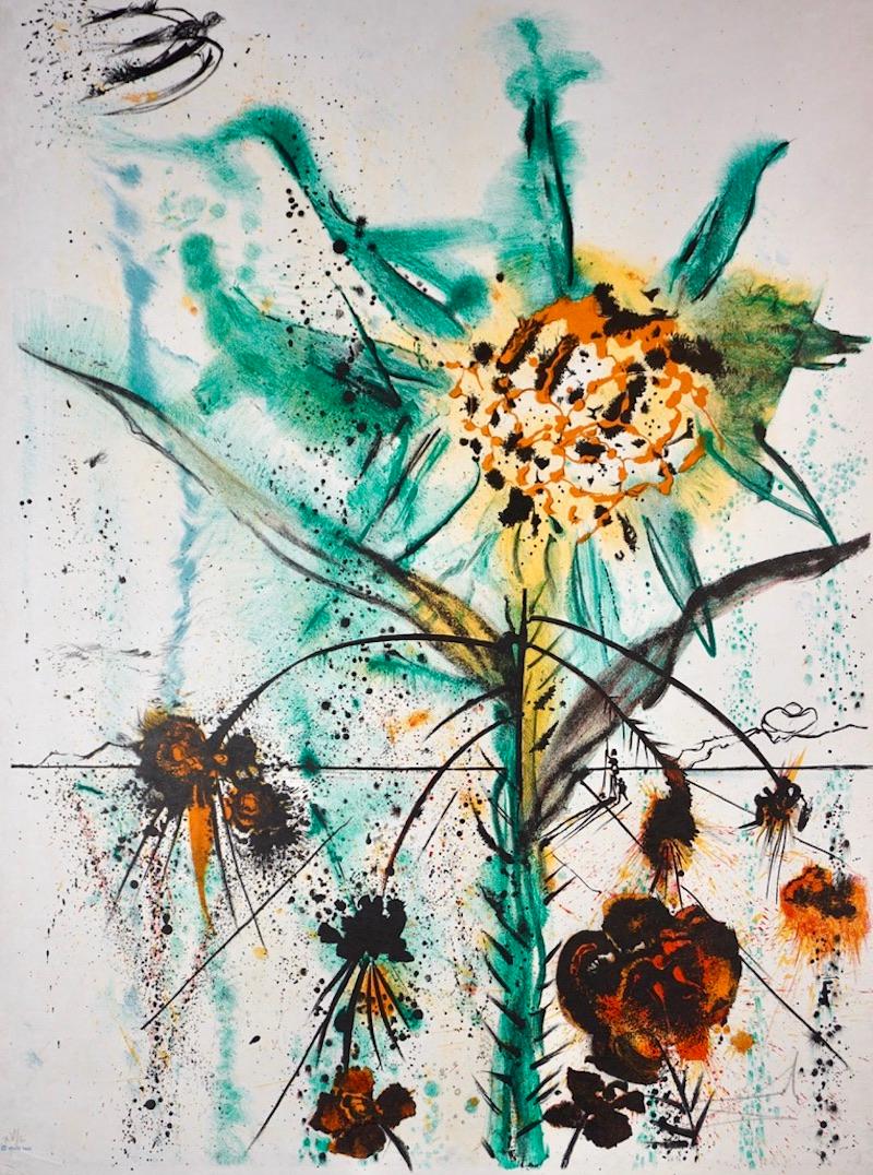 Sun Goddess Flower  - Print by Salvador Dalí