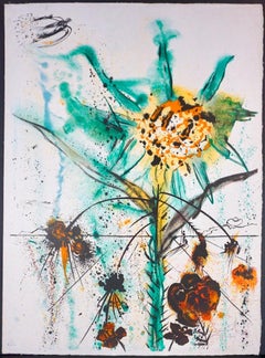 Sun Goddess Flower