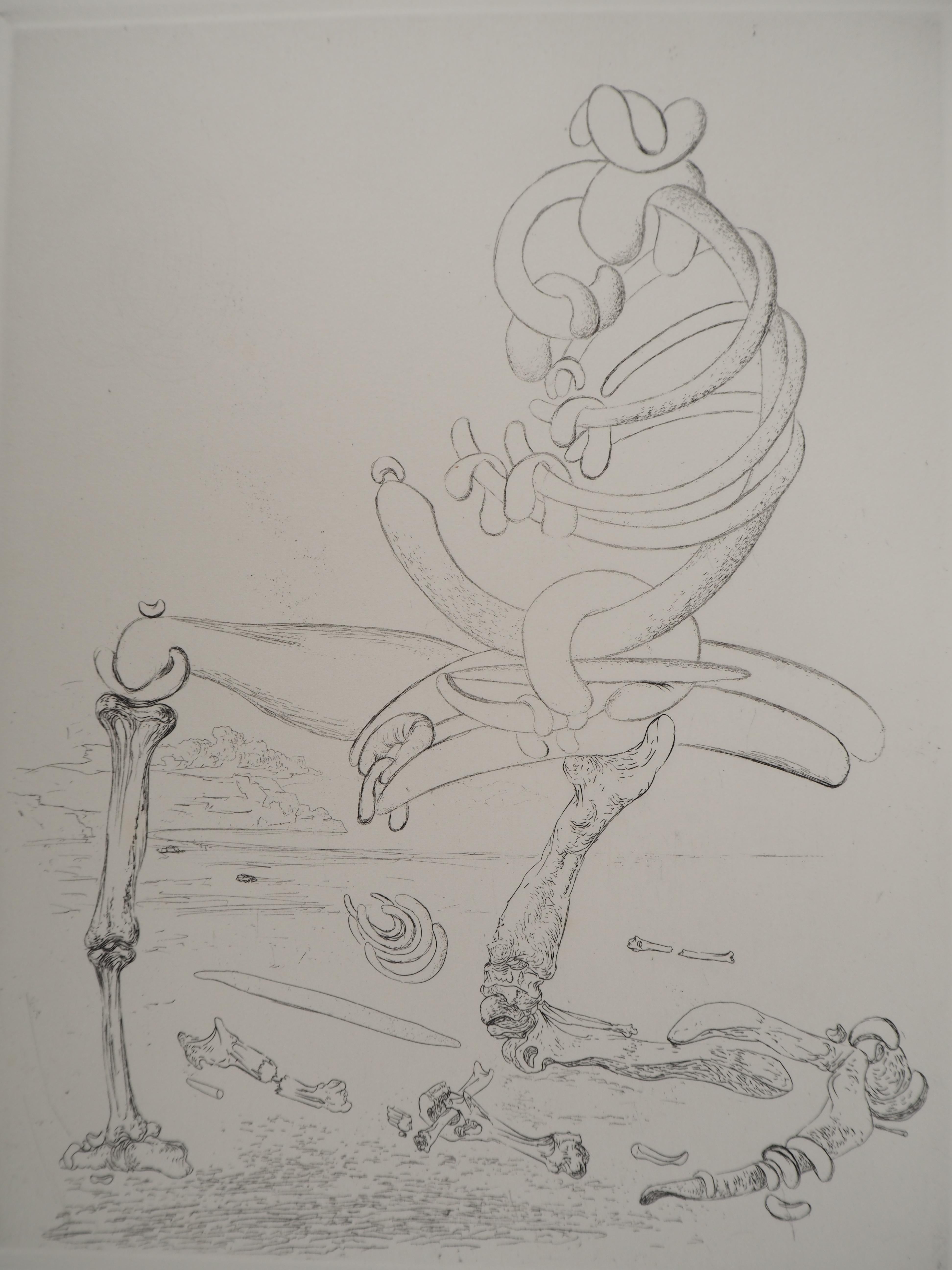 Surrealist Composition with Bones and Beans - Original etching, HANDSIGNED, 1975 - Print by Salvador Dalí