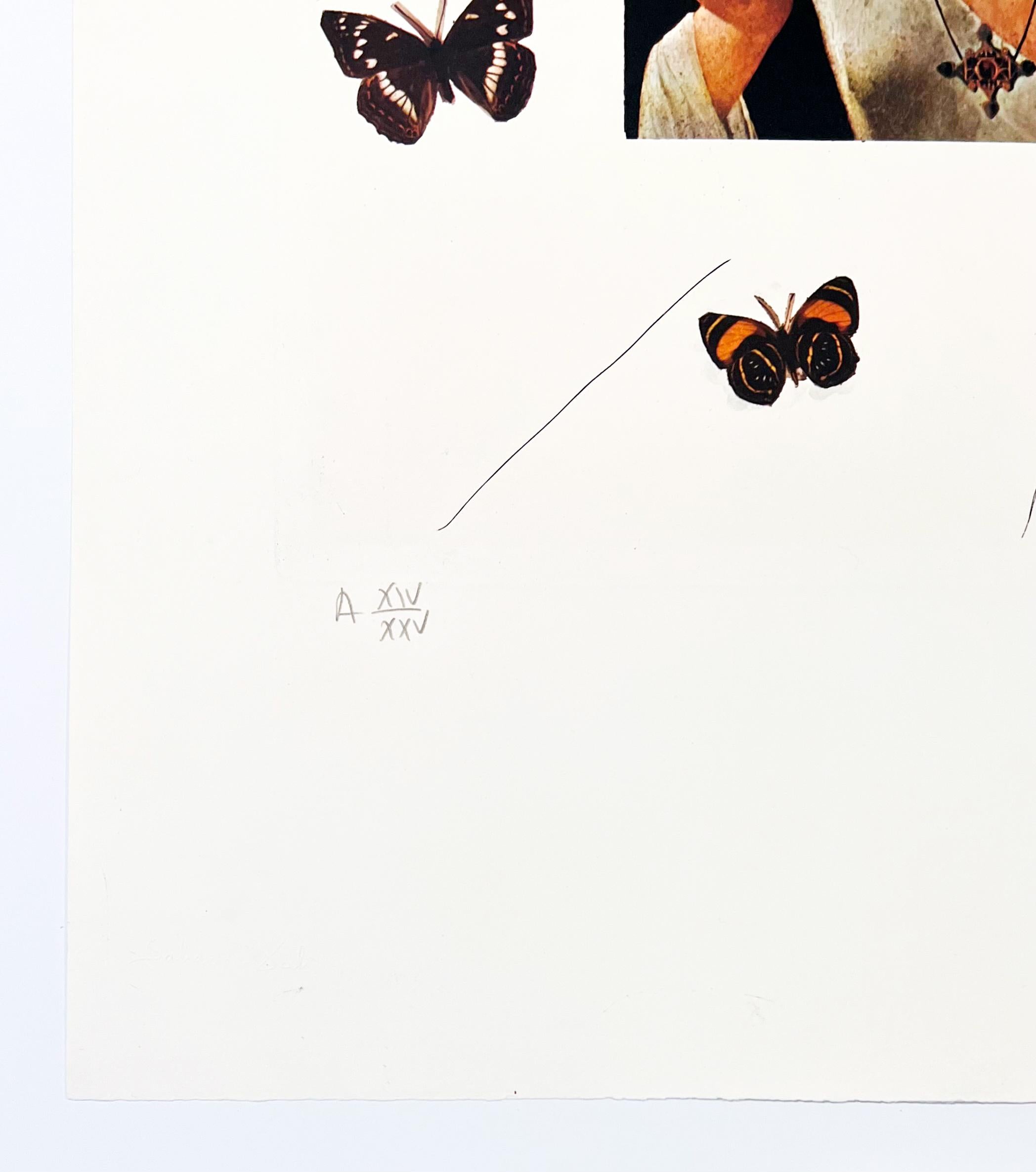 dali schmetterling