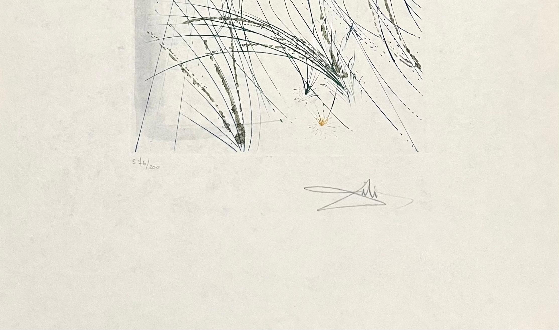 The beloved feeds among the lilies (Michler/Löpsinger 71-17J; M&L 477), Dalí - Print by Salvador Dalí