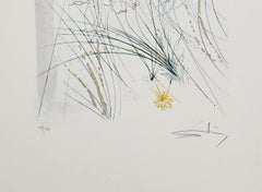 The Beloved Feeds between the Lilies - Original Etching by S. Dalì - 1971