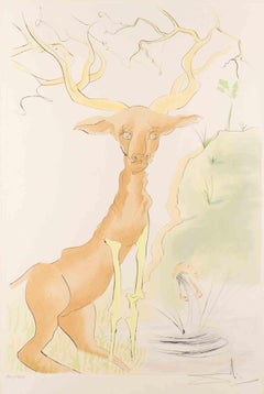 Le cerf se reflétant dans l'eau - Lithographie - 1974