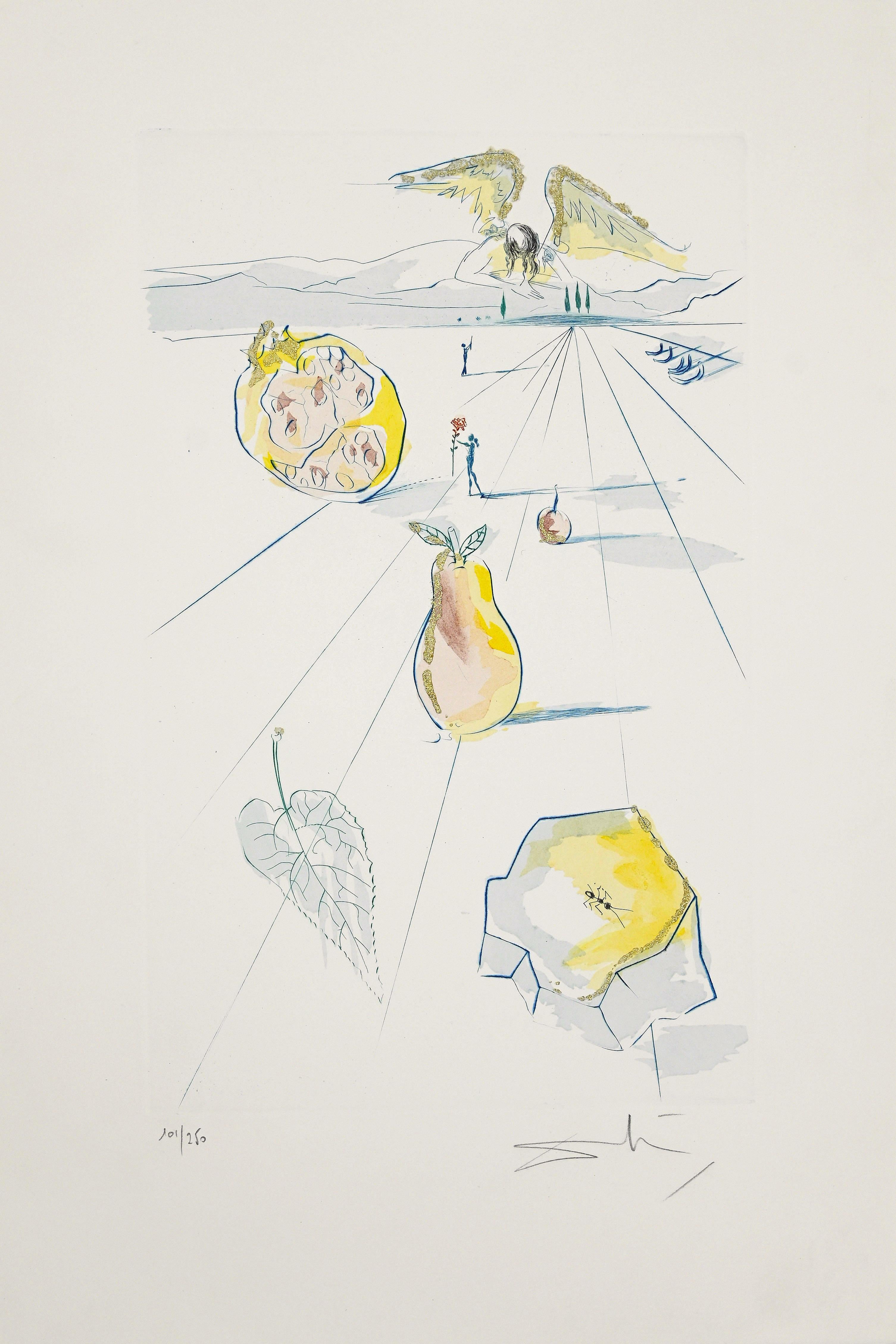 The Fruits of the Valley - Original Etching by Salvador Dalì - 1971 - Print by Salvador Dalí