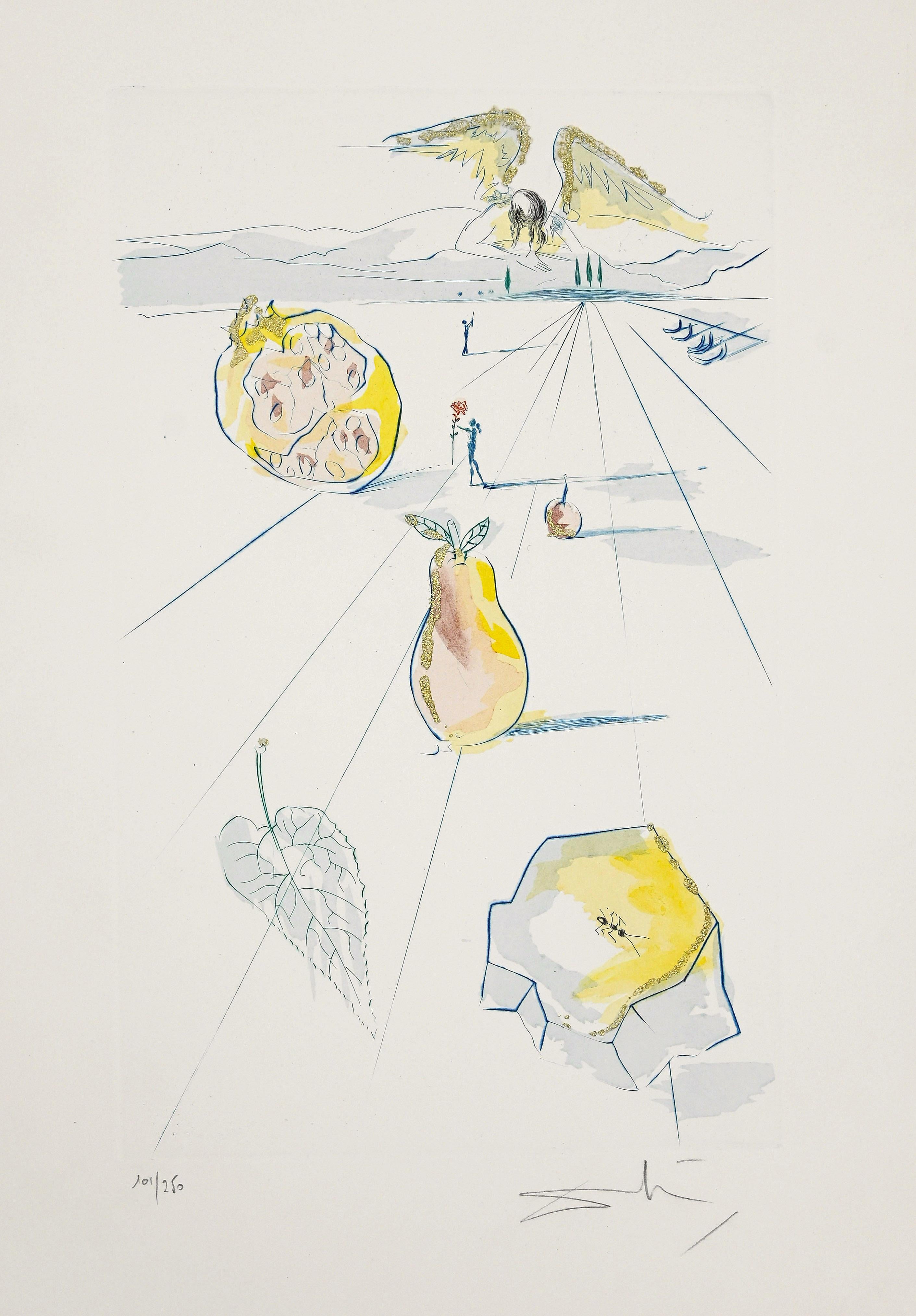 Salvador Dalí Print - The Fruits of the Valley - Original Etching by Salvador Dalì - 1971