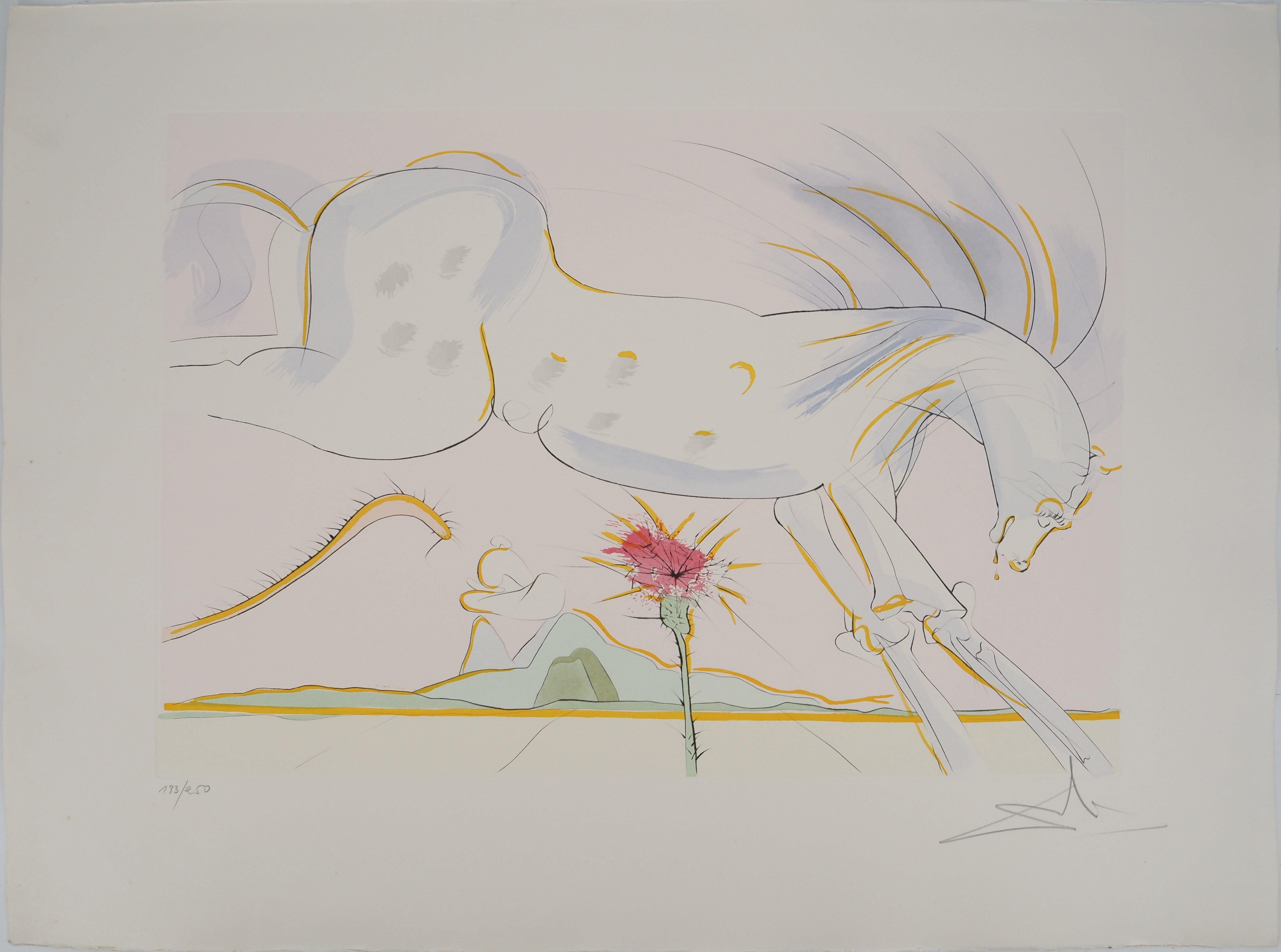 Animal Print Salvador Dalí - Le cheval et le loup - eau-forte originale, signée à la main, 1974