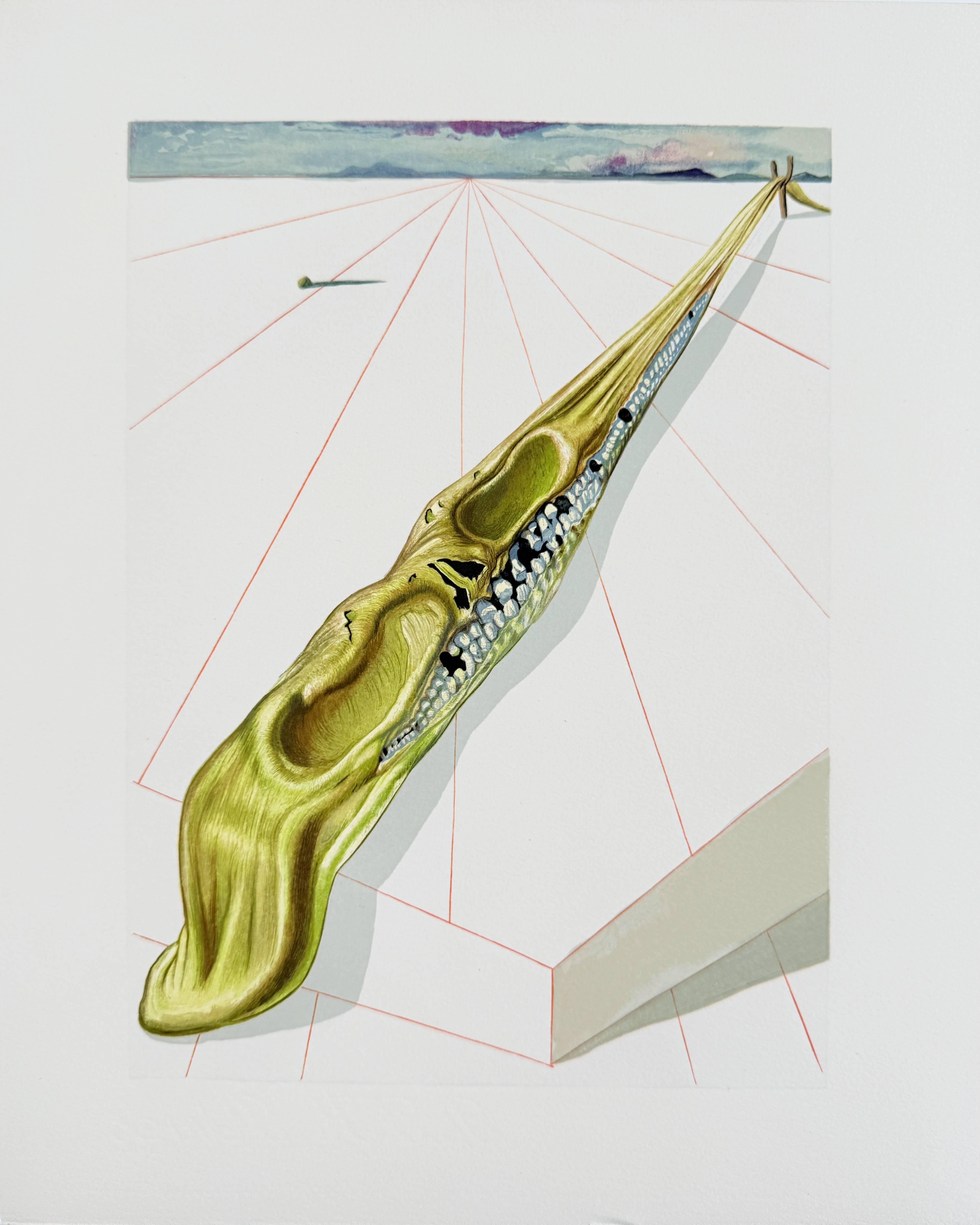 The Inferno, Canto 14 - Blasphémateurs - Print by Salvador Dalí