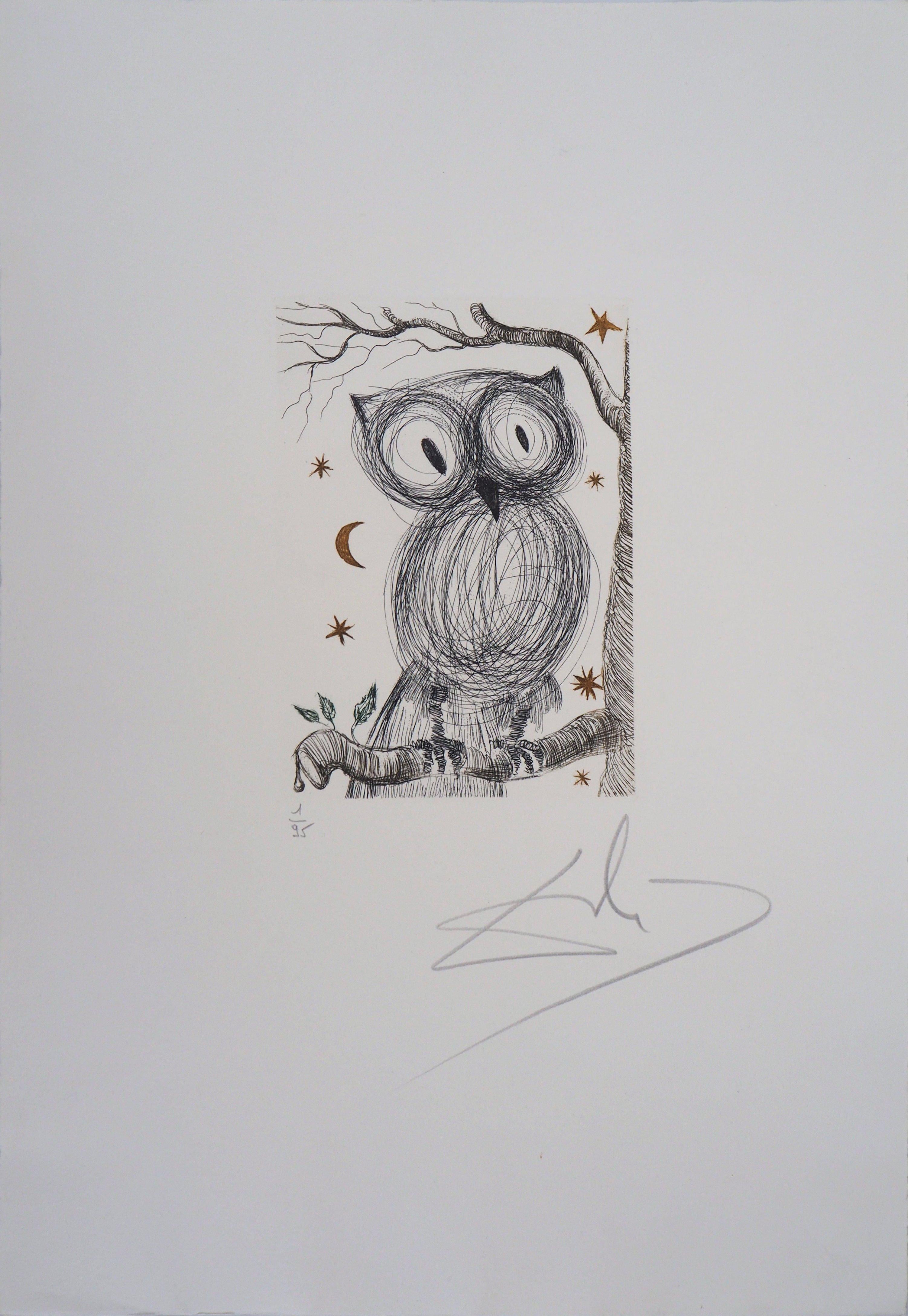 The Little Owl - Original handsigned etching, n° 1/95 (Field #68-9) - Print by Salvador Dalí