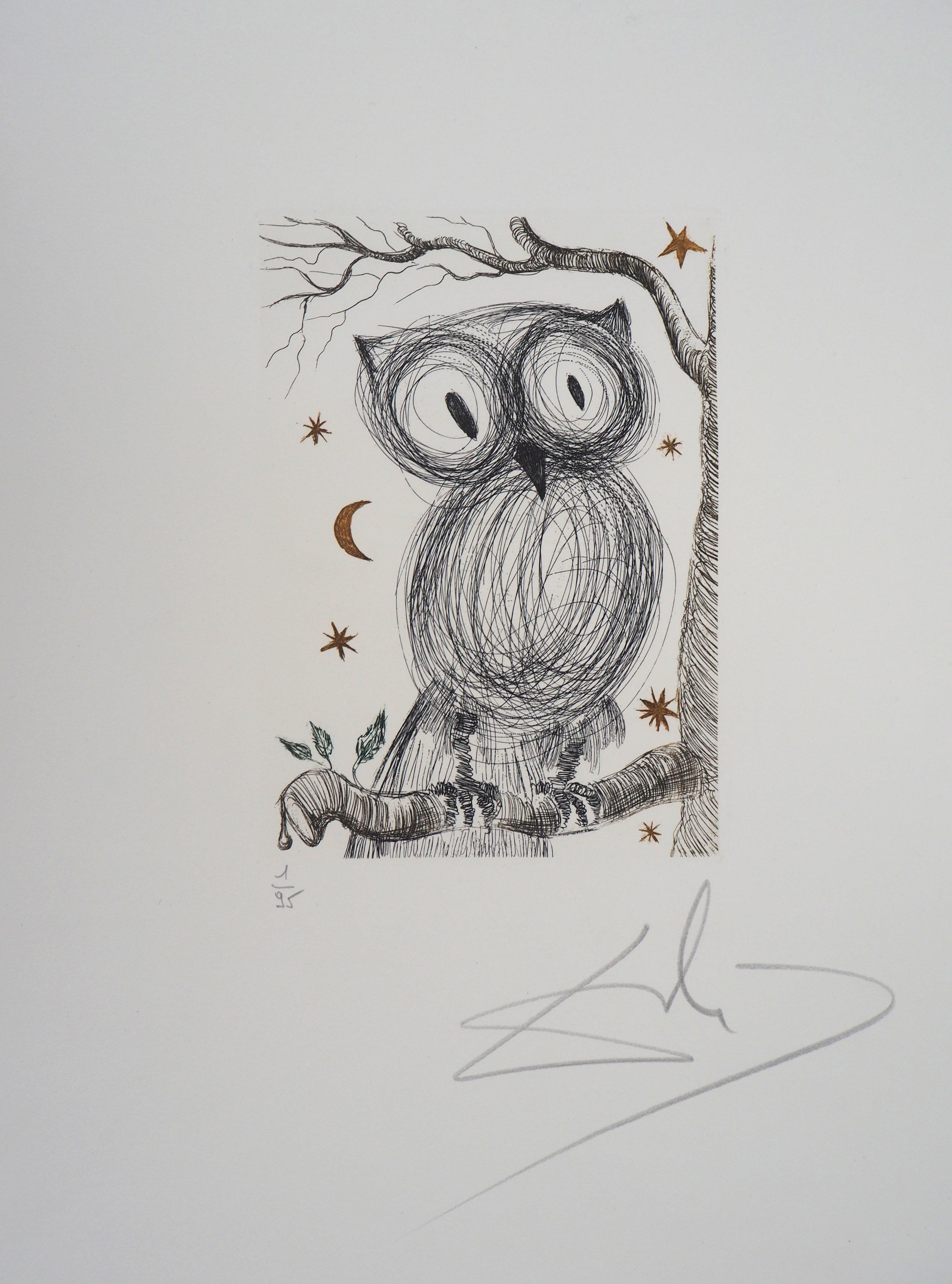 Salvador Dalí Animal Print - The Little Owl - Original handsigned etching, n° 1/95 (Field #68-9)