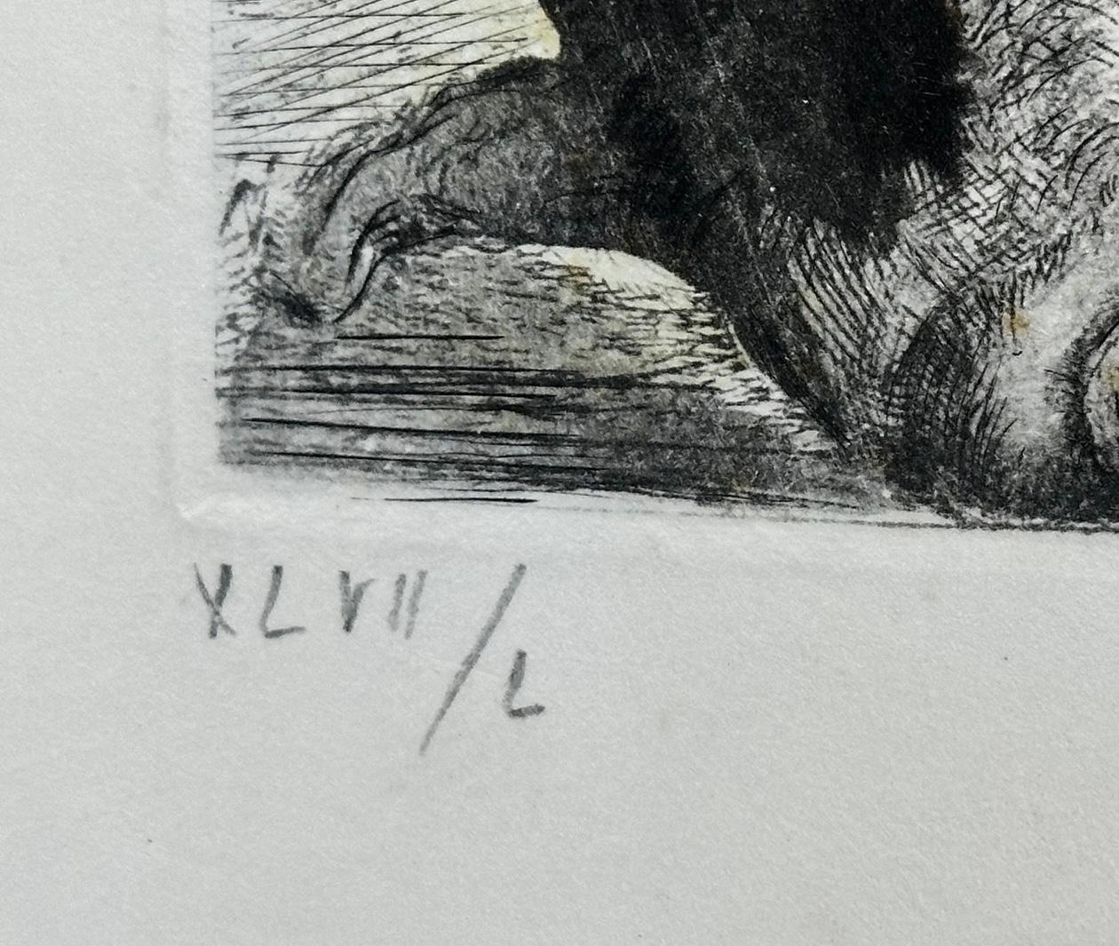 ARTISTA: Salvador Dalì

TITOLO: Il colore della mitologia Argus

MEDIO: Acquaforte

FIRMATO: Firmato a mano 

EDITORE: Edizioni Argillet, Parigi

NUMERO DI EDIZIONE: XLVII/L

MISURE: 30
