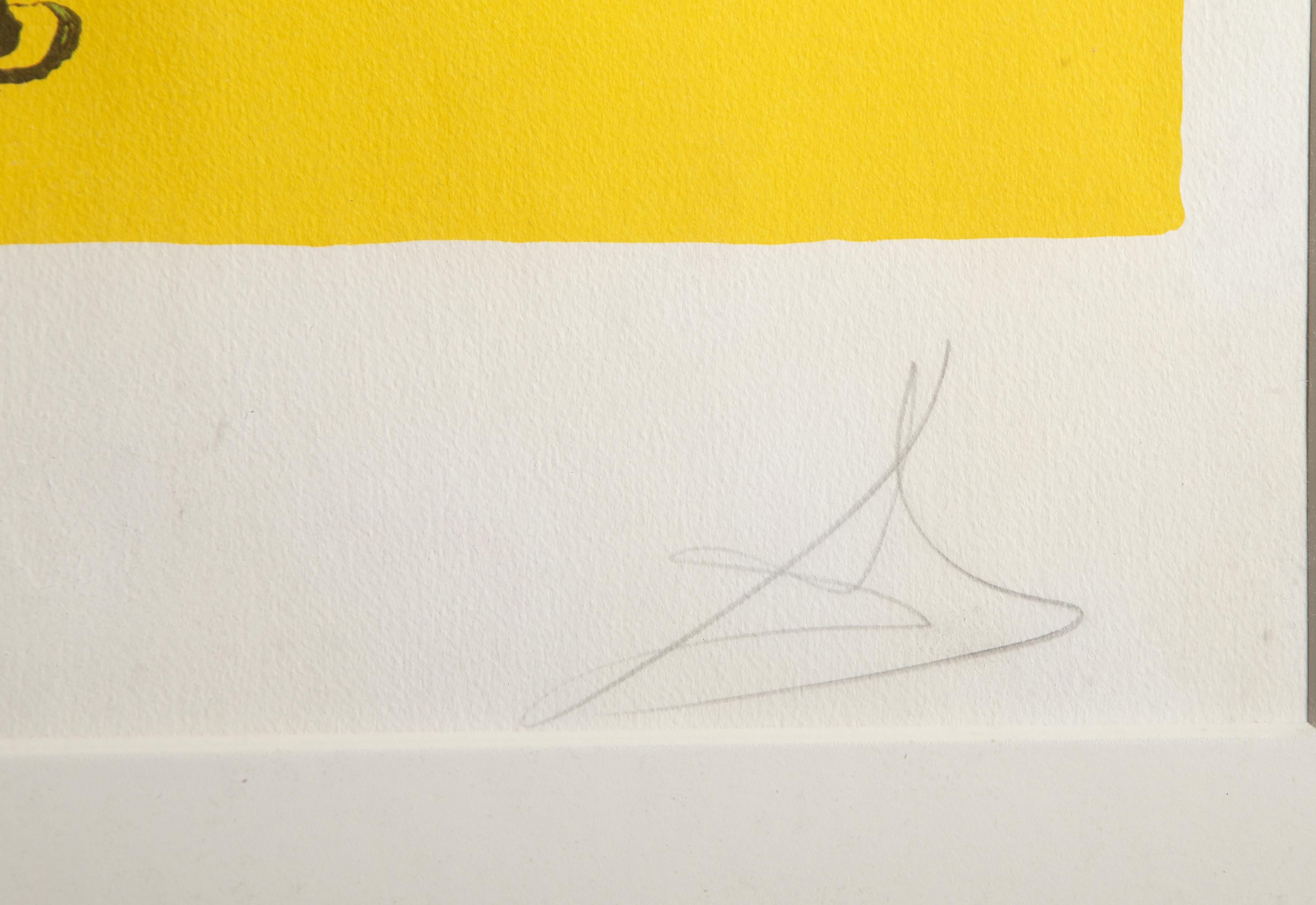 La Resurrección, litografía surrealista firmada por Salvador Dalí en venta 2