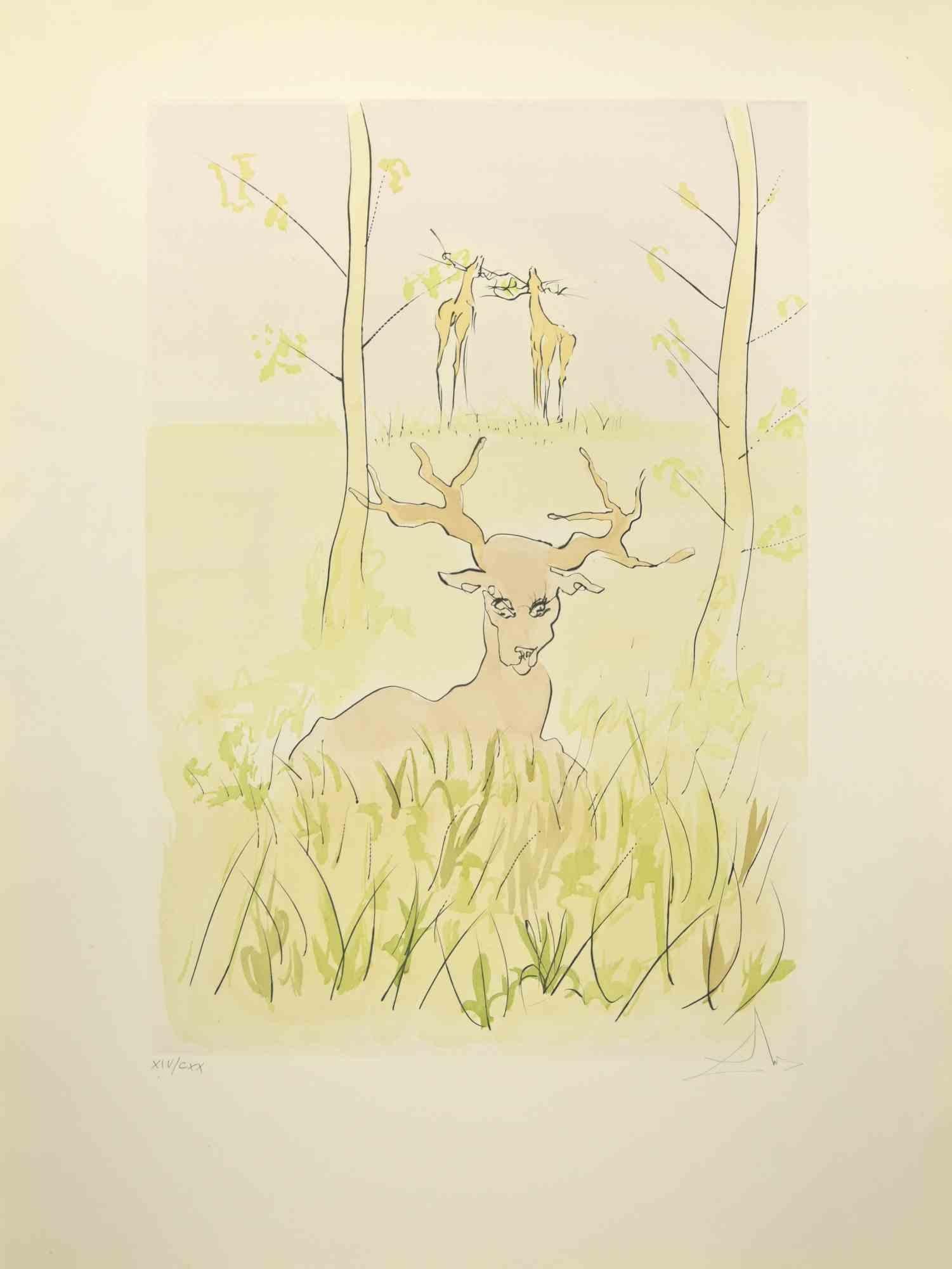 Salvador Dalí Animal Print - The Sick Stag - Etching  - 1974