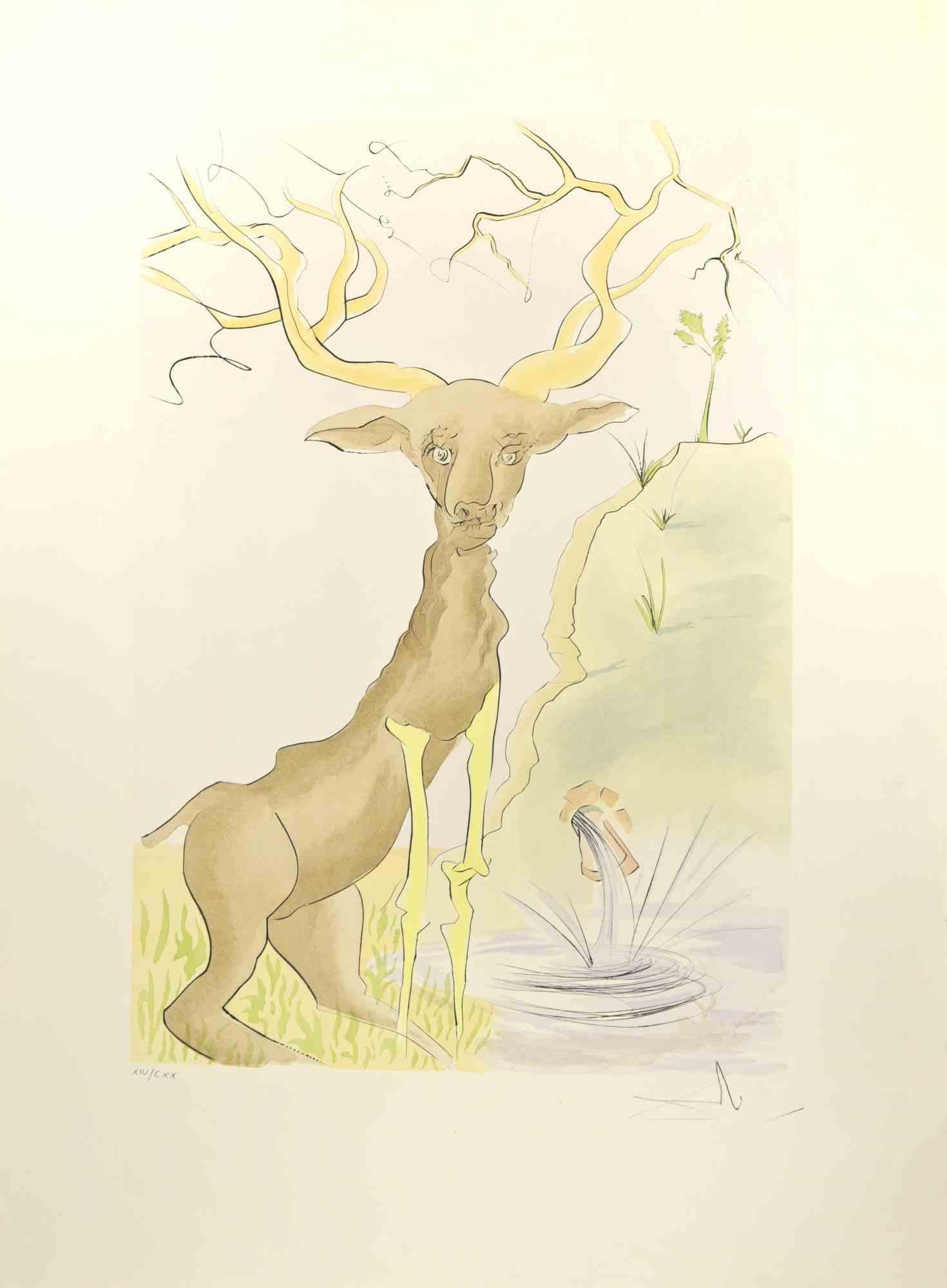 The Stag Reflected in the Water - Gravure à l'eau-forte  - 1974