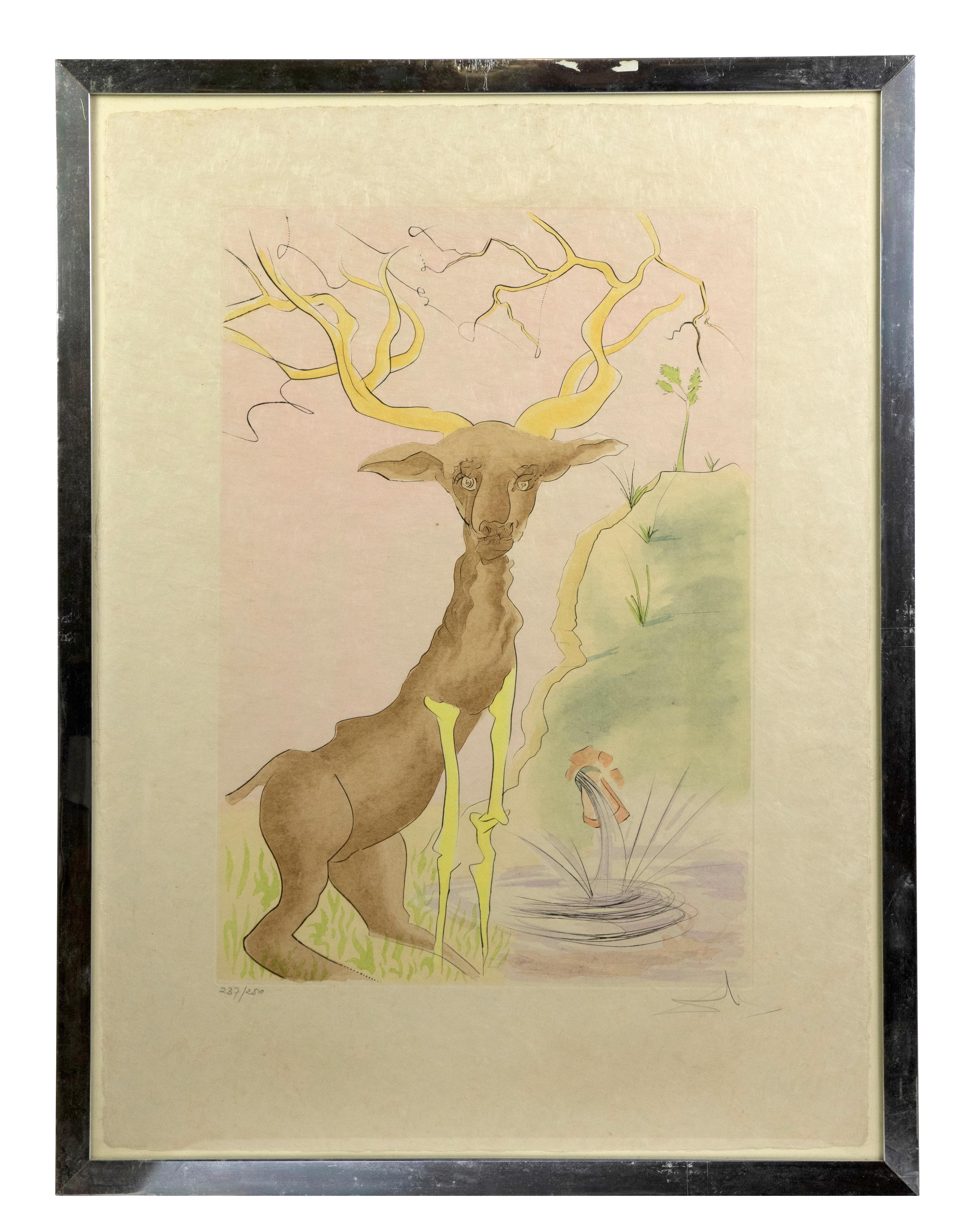 The Stag Reflected in the Water - Original Etching by S. Dali - 1974 - Print by Salvador Dalí