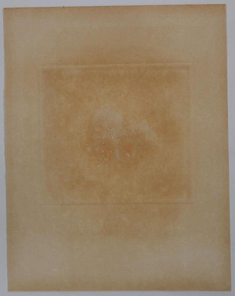 Das Zodiac II Löwe - Jahr 1975 im Angebot 4