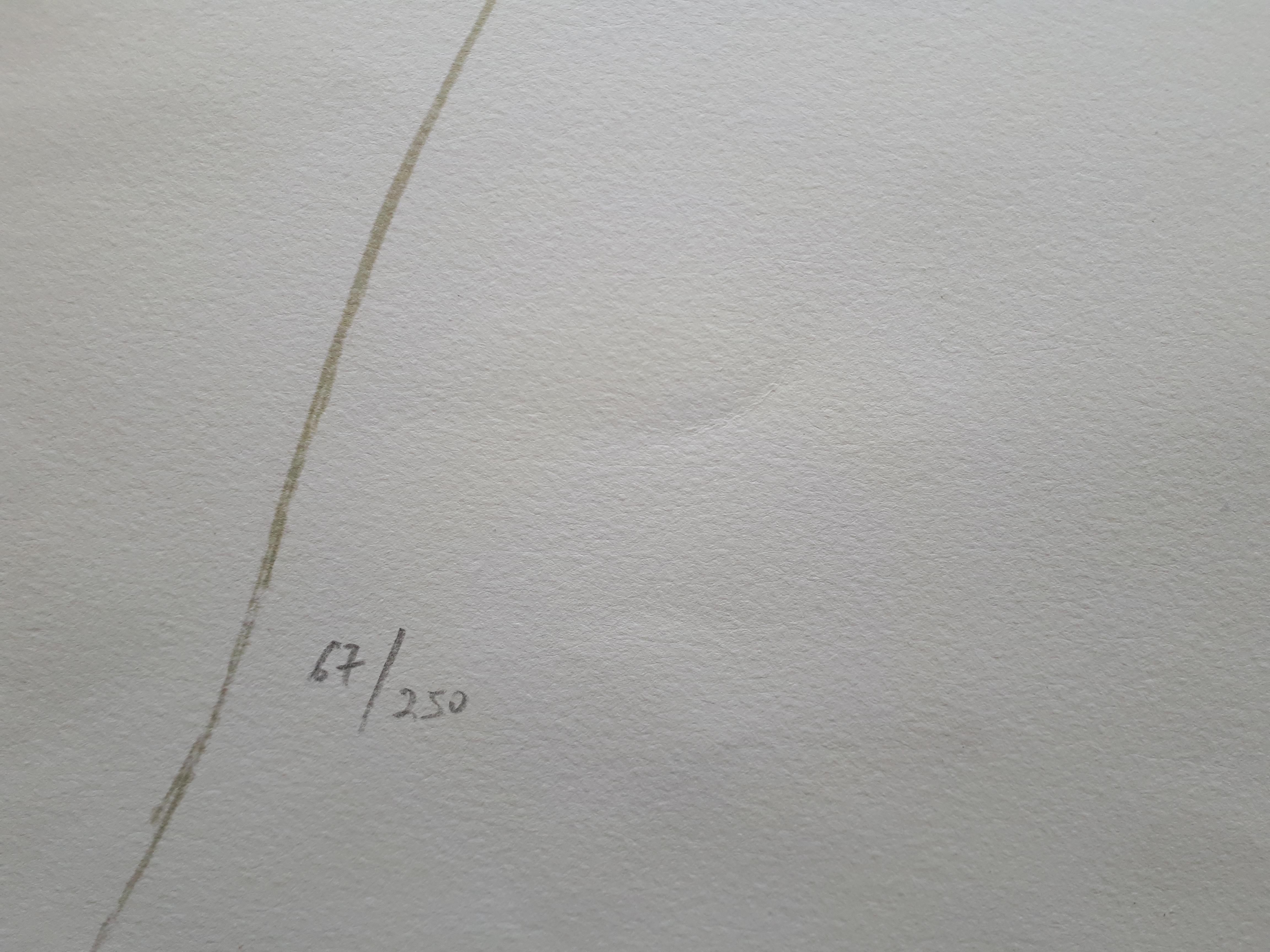 Salvador DALI
Time : American Clock, Timeless Statue

Stone lithograph
Handsigned in pencil
Numbered / 250 
On Arches vellum 76 x 54 cm (c. 30 x 22 in)

References : Field #76-1B, Michler & Lopsinger #1482
Edited by Levine & Levine (New York) in