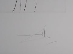 Omaggio a Leonardo da Vinci, L'aeroplano - Acquaforte originale firmata a mano