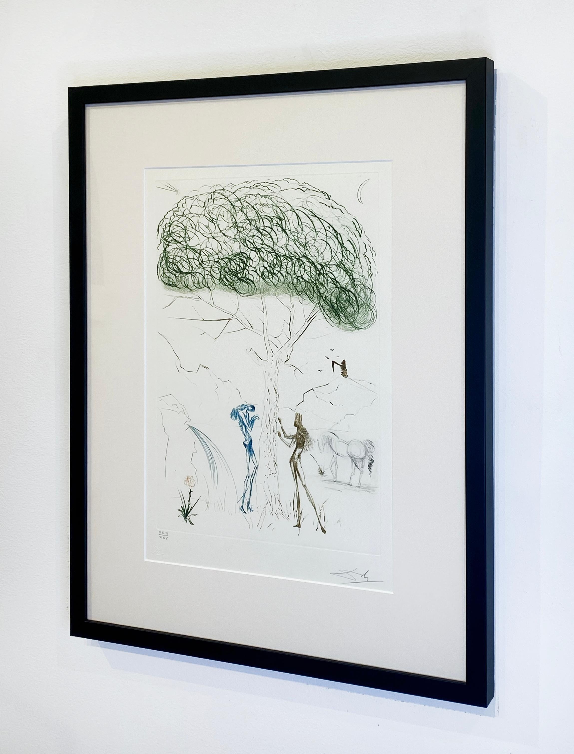 Artist:  Dali, Salvador
Title:  Under the Parasol Pine 
Series:  Tristan et Iseult
Date:  1970
Medium:  drypoint printed in color
Framed Dimensions:  25.5